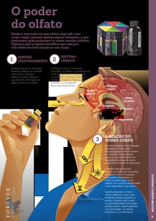 Junio 2015 | Forever
Tálamo
Hipocampo
Amígdala
Bolbo
olfativo
Sistema
límbico
Córtex
cerebral
O poder
do olfato
1 2
3
RESPIRE
PROFUNDAMENTE
SISTEMA
LÍMBICO
A REAÇÃO DO
NOSSO CORPO
Conhecido como o “centro das
emoções” no cérebro, é constituído por
várias partes, inluindo o hipocampo
e a amígdala. Controla a memória e
o estado de espírito. Pode evocar
emoções e uma resposta
física quase instantânea.
Os cheiros originam uma resposta
fisiológica no nosso corpo.
Graças à ligação entre os cheiros
e a memória, certos aromas
podem evocar sentimentos de
tranquilidade, enquanto outros
podem fazê-lo sentir-se mais alerta.
O cérebro liberta químicos
naturais no corpo que nos podem
fazer sentir calmos, tranquilos,
estimulados, energizados. O
cheiro e a associação do seu
cérebro com o aroma determinarão
como responderá o seu corpo.
Quando descobre um novo
aroma, relaciona-o com o seu
ambiente: pessoas, lugares ou
eventos. Quando volta a senti-
lo, automaticamente evoca esse
primeiro evento, desencadeando
uma recordação, um estado
de ânimo ou um sentimento.
Desde o momento em que cheira algo até o seu
corpo reagir, passam apenas alguns instantes, o que
demonstra quão poderoso é o nosso sentido olfativo.
Vejamos qual a reação científica que está por
trás desta incrível reação no seu corpo.
Quando inspiramos, as células
recetoras olfativas na cavidade
nasal enviam impulsos
elétricos ao bolbo olfativo, o
qual transmite informação ao
sistema límbico no cérebro.
9
BOLETIMAGOSTO|PRODUTO
 