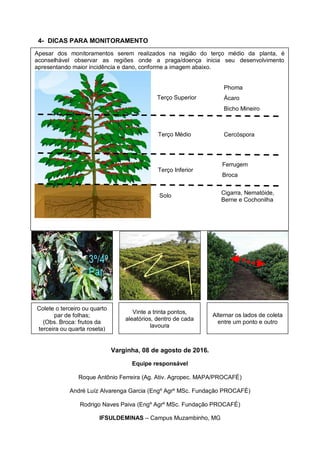 4- DICAS PARA MONITORAMENTO
Varginha, 08 de agosto de 2016.
Equipe responsável
Roque Antônio Ferreira (Ag. Ativ. Agropec. MAPA/PROCAFÉ)
André Luíz Alvarenga Garcia (Engº Agrº MSc. Fundação PROCAFÉ)
Rodrigo Naves Paiva (Engº Agrº MSc. Fundação PROCAFÉ)
IFSULDEMINAS – Campus Muzambinho, MG
Colete o terceiro ou quarto
par de folhas;
(Obs. Broca: frutos da
terceira ou quarta roseta)
Vinte a trinta pontos,
aleatórios, dentro de cada
lavoura
Alternar os lados de coleta
entre um ponto e outro
Apesar dos monitoramentos serem realizados na região do terço médio da planta, é
aconselhável observar as regiões onde a praga/doença inicia seu desenvolvimento
apresentando maior incidência e dano, conforme a imagem abaixo.
Terço Superior
Terço Médio
Terço Inferior
Solo
Phoma
Ácaro
Bicho Mineiro
Bicho Mineiro
Bicho Mineiro
Cercóspora
Ferrugem
Broca
Cigarra, Nematóide,
Berne e Cochonilha
 