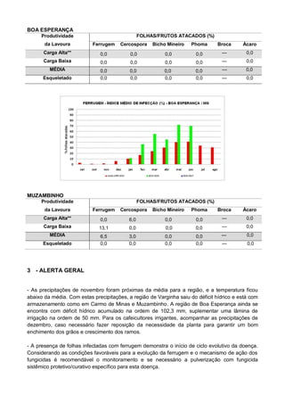 BOA ESPERANÇA
Produtividade
da Lavoura
FOLHAS/FRUTOS ATACADOS (%)
Ferrugem Cercospora Bicho Mineiro Phoma Broca Ácaro
Carga Alta** 0,0 0,0 0,0 0,0 --- 0,0
Carga Baixa 0,0 0,0 0,0 0,0 --- 0,0
MÉDIA 0,0 0,0 0,0 0,0 --- 0,0
Esqueletado 0,0 0,0 0,0 0,0 --- 0,0
MUZAMBINHO
Produtividade
da Lavoura
FOLHAS/FRUTOS ATACADOS (%)
Ferrugem Cercospora Bicho Mineiro Phoma Broca Ácaro
Carga Alta** 0,0 6,0 0,0 0,0 --- 0,0
Carga Baixa 13,1 0,0 0,0 0,0 --- 0,0
MÉDIA 6,5 3,0 0,0 0,0 --- 0,0
Esqueletado 0,0 0,0 0,0 0,0 --- 0,0
3 - ALERTA GERAL
- As precipitações de novembro foram próximas da média para a região, e a temperatura ficou
abaixo da média. Com estas precipitações, a região de Varginha saiu do déficit hídrico e está com
armazenamento como em Carmo de Minas e Muzambinho. A região de Boa Esperança ainda se
encontra com déficit hídrico acumulado na ordem de 102,3 mm, suplementar uma lâmina de
irrigação na ordem de 50 mm. Para os cafeicultores irrigantes, acompanhar as precipitações de
dezembro, caso necessário fazer reposição da necessidade da planta para garantir um bom
enchimento dos grãos e crescimento dos ramos.
- A presença de folhas infectadas com ferrugem demonstra o início de ciclo evolutivo da doença.
Considerando as condições favoráveis para a evolução da ferrugem e o mecanismo de ação dos
fungicidas é recomendável o monitoramento e se necessário a pulverização com fungicida
sistêmico protetivo/curativo específico para esta doença.
 