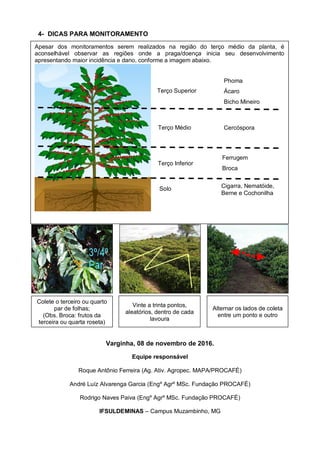 4- DICAS PARA MONITORAMENTO
Varginha, 08 de novembro de 2016.
Equipe responsável
Roque Antônio Ferreira (Ag. Ativ. Agropec. MAPA/PROCAFÉ)
André Luíz Alvarenga Garcia (Engº Agrº MSc. Fundação PROCAFÉ)
Rodrigo Naves Paiva (Engº Agrº MSc. Fundação PROCAFÉ)
IFSULDEMINAS – Campus Muzambinho, MG
Colete o terceiro ou quarto
par de folhas;
(Obs. Broca: frutos da
terceira ou quarta roseta)
Vinte a trinta pontos,
aleatórios, dentro de cada
lavoura
Alternar os lados de coleta
entre um ponto e outro
Apesar dos monitoramentos serem realizados na região do terço médio da planta, é
aconselhável observar as regiões onde a praga/doença inicia seu desenvolvimento
apresentando maior incidência e dano, conforme a imagem abaixo.
Terço Superior
Terço Médio
Terço Inferior
Solo
Phoma
Ácaro
Bicho Mineiro
Bicho Mineiro
Bicho Mineiro
Cercóspora
Ferrugem
Broca
Cigarra, Nematóide,
Berne e Cochonilha
 