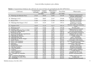 5
Boletim técnico, 214, IAC, 2015
Couve de folha: do plantio à pós-colheita
Tabela 1. Características botânicas das cultivares de couve do banco de germoplasma do IAC/APTA/SAA
Cultivares
Comprimento
do limbo
Largura
do limbo
Massa fresca
da folha
Área foliar Observações
cm folha-1
g folha-1
cm2
folha-1
A - Manteiga de Ribeirão Pires 25,38 20,96 28,86 355,90
Margem irregularmente
sinuada, denticulada
B - Manteiga I-1811 23,86 20,02 23,97 314,44
Margem irregularmente
sinuada, denticulada
C - Roxa I-919 21,00 17,68 21,04 246,48 Nervuras arroxeadas
D - Manteiga São Roque I-1812 16,54 14,54 11,43 159,12
Margem levemente
denticulada, sinuada
E - Gigante I-915 18,58 15,18 16,17 185,16
Pecíolo verde com manchas
roxas
F - Manteiga I-916 15,24 13,54 7,78 147,50 Pecíolo curto
G - Crespa I-918 15,57 11,48 7,80 111,64 Margem partida lacerada
H - Manteiga Ribeirão Pires I-2446 20,72 16,94 18,25 232,37 Pecíolo de cor verde
I - Crespa de Capão Bonito 23,90 23,00 37,01 360,26 Nervuras proeminentes
J - Manteiga de Tupi 15,84 13,08 10,74 147,70 Base auriculada assimétrica
K - Couve da Seção de Leguminosas 32,90 27,24 52,43 609,99 Margem de cor verde
L - Manteiga de Jundiaí 23,92 22,84 30,03 433,07 Coloração verde-clara
M - Manteiga de Mococa 21,64 18,24 26,14 278,71 Limbo bulado
N - Manteiga São José 22,10 18,56 24,66 261,94 Ápice assimétrico
O - Manteiga de Monte Alegre 29,34 24,36 44,18 467,12 Nervuras arroxeadas
P - Verde-Escura 31,52 24,90 37,30 479,02 Coloração verde-escura
Q - Pires 1 de Campinas 34,02 27,52 58,42 645,54 Nervuras branco-esverdeadas
R - Pires 2 de Campinas 27,24 22,18 40,05 467,78 Limbo orbicular
S - Japonesa 20,08 13,08 14,30 164,04 Coloração verde- brilhante
T - Hortolândia 36,94 31,66 72,05 794,06 Limbo orbicular
U - Orelha de Elefante 31,90 25,20 51,39 548,64 Margem denticulada
V - Vale das Garças 33,20 27,90 37,72 540,79 Nervuras arroxeadas
W - Artur Nogueira 1 34,10 25,70 65,13 640,36 Limbo oval-oblongo
X - Comum 33,90 28,08 64,03 639,41 Limbo elíptico-oblongo
Y - Artur Nogueira 2 34,10 26,00 47,81 541,99 Limbo elíptico
Z - Artur Nogueira 3 34,90 26,40 58,41 643,96 Margens de cor verde
VA - Variegata de Andradas 20,06 17,86 19,61 233,67 Bordos esbranquiçados
Tozan 34,18 24,96 49,33 576,28 -
IAC - Campinas-Mendonça 32,26 32,42 61,92 899,22 Folhas macias ao tato
OP - Manteiga Osvaldo Pires 34,46 27,32 46,20 657,82 Limbo oval
SE - Serrilhada 37,60 23,02 51,83 489,82 Margem partida lacerada
 