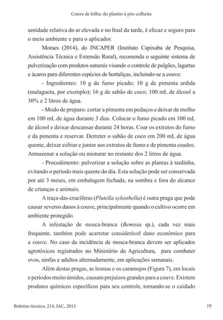 19
Boletim técnico, 214, IAC, 2015
Couve de folha: do plantio à pós-colheita
umidade relativa do ar elevada e no final da tarde, é eficaz e seguro para
o meio ambiente e para o aplicador.
Moraes (2014), do INCAPER (Instituto Capixaba de Pesquisa,
Assistência Técnica e Extensão Rural), recomenda o seguinte sistema de
pulverização com produtos naturais visando o controle de pulgões, lagartas
e ácaros para diferentes espécies de hortaliças, incluindo-se a couve:
- Ingredientes: 10 g de fumo picado; 10 g de pimenta ardida
(malagueta, por exemplo); 16 g de sabão de coco; 100 mL de álcool a
30% e 2 litros de água.
- Modo de preparo: cortar a pimenta em pedaços e deixar de molho
em 100 mL de água durante 3 dias. Colocar o fumo picado em 100 mL
de álcool e deixar descansar durante 24 horas. Coar os extratos do fumo
e da pimenta e reservar. Derreter o sabão de coco em 200 mL de água
quente, deixar esfriar e juntar aos extratos de fumo e de pimenta coados.
Armazenar a solução ou misturar no restante dos 2 litros de água.
- Procedimento: pulverizar a solução sobre as plantas à tardinha,
evitando o período mais quente do dia. Esta solução pode ser conservada
por até 3 meses, em embalagem fechada, na sombra e fora do alcance
de crianças e animais.
A traça-das-crucíferas (Plutella xylosthella) é outra praga que pode
causar severos danos à couve, principalmente quando o cultivo ocorre em
ambiente protegido.
A infestação de mosca-branca (Bemisia sp.), cada vez mais
frequente, também pode acarretar considerável dano econômico para
a couve. No caso da incidência de mosca-branca devem ser aplicados
agrotóxicos registrados no Ministério da Agricultura, para combater
ovos, ninfas e adultos alternadamente, em aplicações semanais.
Além destas pragas, as lesmas e os caramujos (Figura 7), em locais
e períodos muito úmidos, causam prejuízos grandes para a couve. Existem
produtos químicos específicos para seu controle, tomando-se o cuidado
 