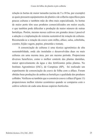 25
Boletim técnico, 214, IAC, 2015
Couve de folha: do plantio à pós-colheita
relação às hortas de maior tamanho (acima de 5 a 10 ha, por exemplo)
as quais possuem equipamentos de plantio e de colheita específicos para
poucas culturas e também mão de obra mais especializada. As hortas
de maior porte têm seus produtos comercializados em maior escala,
o que também pode dificultar a produção de maior número de outras
hortaliças. Porém, mesmo nesses cultivos em grandes áreas é possível
a adoção e a implantação do sistema sustentável de rotação de culturas.
Recomenda-se a rotação da couve com milho, alface, salsa, cebolinha,
coentro, feijão-vagem, pepino, pimentão e tomate.
A consorciação de culturas é uma técnica agronômica de alta
sustentabilidade, onde são instaladas e desenvolvidas duas ou mais
culturas em uma mesma área, por um mesmo período. Proporciona
diversos benefícios, como o melhor controle das plantas daninhas,
maior aproveitamento da água e dos fertilizantes pelas plantas. No
Instituto Agronômico (IAC), de Campinas (SP), foi realizado um
experimento de consorciação da couve de folha com a alface. Foram
obtidas boas produções de ambas as hortaliças e qualidade dos produtos
colhidos. Verificou-se também que o consórcio couve e alface (Figura 11)
proporcionou melhor retorno econômico quando se comparou com o
cultivo solteiro de cada uma dessas espécies hortícolas.
 