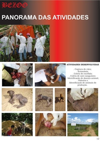 BEZOO
PANORAMA DAS ATIVIDADES




                 ATIVIDADES DESENVOLVIDAS

                          . Captura de cães;
                             . Eutanásia;
                         . Coleta de encéfalo;
                     . Coleta de soro sanguíneo;
                 . Identificação de doença animal;
                              . Palestra e
                    .Identificação de animais de
                               produção.




                                               12
 