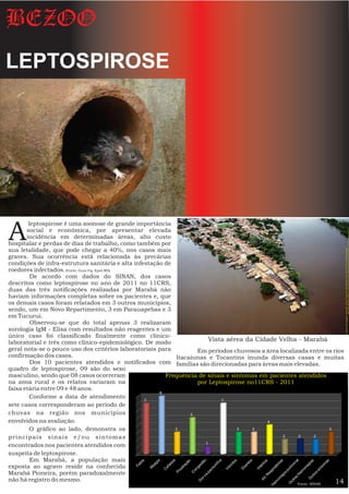 BEZOO
LEPTOSPIROSE




A
        leptospirose é uma zoonose de grande importância
       social e econômica, por apresentar elevada
       incidência em determinadas áreas, alto custo
hospitalar e perdas de dias de trabalho, como também por




                                                                                                                          Fontes de imagens: Roedor: http://cievsrio.wordpress.com/2012/01/14/leptospirose
sua letalidade, que pode chegar a 40%, nos casos mais
graves. Sua ocorrência está relacionada às precárias
condições de infra-estrutura sanitária e alta infestação de
roedores infectados. (Fonte: Guia Vig. Epid.MS)
         De acordo com dados do SINAN, dos casos
descritos como leptospirose no ano de 2011 no 11CRS,
duas das três notificações realizadas por Marabá não
haviam informações completas sobre os pacientes e, que
os demais casos foram relatados em 3 outros municípios,
sendo, um em Novo Repartimento, 3 em Parauapebas e 3
em Tucurui.
         Observou-se que do total apenas 3 realizaram
sorologia IgM - Elisa com resultados não reagentes e um
único caso foi classificado finalmente como clínico-
laboratorial e três como clínico-epidemiológico. De modo               Vista aérea da Cidade Velha - Marabá
geral nota-se o pouco uso dos critérios laboratoriais para         Em períodos chuvosos a área localizada entre os rios
confirmação dos casos.                                      Itacaiunas e Tocantins inunda diversas casas e muitas
         Dos 10 pacientes atendidos e notificados com famílias são direcionadas para áreas mais elevadas.
quadro de leptospirose, 09 são do sexo
masculino, sendo que 08 casos ocorreram                  Frequência de sinais e sintomas em pacientes atendidos
na zona rural e os relatos variaram na                             por Leptospirose no11CRS - 2011
faixa etária entre 09 e 48 anos.
        Conforme a data de atendimento
sete casos corresponderam ao período de
chuvas na região nos municípios
envolvidos na avaliação.
        O gráfico ao lado, demonstra os
principais sinais e/ou sintomas
encontrados nos pacientes atendidos com
suspeita de leptospirose.
         Em Marabá, a população mais
exposta ao agravo reside na conhecida
Marabá Pioneira, porém paradoxalmente
não há registro do mesmo.                                                                                           14
                                                                                                      Fonte: SINAN
 