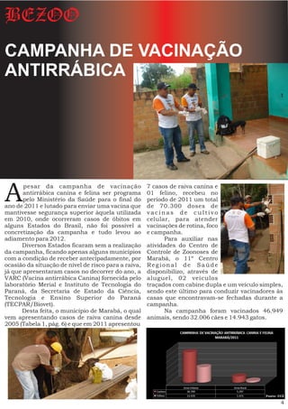 BEZOO
CAMPANHA DE VACINAÇÃO
ANTIRRÁBICA




A      pesar da campanha de vacinação
       antirrábica canina e felina ser programa
       pelo Ministério da Saúde para o final do
ano de 2011 e lutado para enviar uma vacina que
mantivesse segurança superior àquela utilizada
                                                      7 casos de raiva canina e
                                                      01 felino, recebeu no
                                                      período de 2011 um total
                                                      de 70.300 doses de
                                                      vacinas de cultivo
em 2010, onde ocorreram casos de óbitos em            celular, para atender
alguns Estados do Brasil, não foi possível a          vacinações de rotina, foco
concretização da campanha e tudo levou ao             e campanha.
adiamento para 2012.                                         Para auxiliar nas
      Diversos Estados ficaram sem a realização       atividades do Centro de
da campanha, ficando apenas alguns municípios         Controle de Zoonoses de
com a condição de receber antecipadamente, por        Marabá, o 11º Centro
ocasião da situação de nível de risco para a raiva,   Regional de Saúde
já que apresentaram casos no decorrer do ano, a       disponibilizo, através de
VARC (Vacina antirrábica Canina) fornecida pelo       aluguel, 02 veículos
laboratório Merial e Instituto de Tecnologia do       traçados com cabine dupla e um veículo simples,
Paraná, da Secretaria de Estado da Ciência,           sendo este último para conduzir vacinadores às
Tecnologia e Ensino Superior do Paraná                casas que encontravam-se fechadas durante a
(TECPAR/Biovet).                                      campanha.
      Desta feita, o município de Marabá, o qual             Na campanha foram vacinados 46.949
vem apresentando casos de raiva canina desde          animais, sendo 32.006 cães e 14.943 gatos.
2005 (Tabela 1, pág. 6) e que em 2011 apresentou




                                                                                               Fonte: CCZ

                                                                                                       4
 