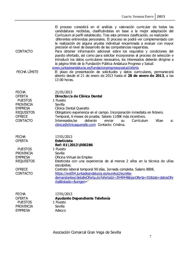 Curriculum vitae format in word picture