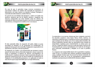 BOLETIN-FERTILIZACION-EN-PALTO IMP.pdf