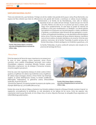 RECURSOS NATURALES Y AREAS PROTEGIDAS REGION LA
LIBERTAD |
3
Fuente: http://www.deperu.com/areas-
naturales-protegidas/reserva-nacional-de-
calipuy-2994
Fuente: http://www.deperu.com/areas-
naturales-protegidas/reserva-nacional-de-
calipuy-2994
SANTUARIO NACIONAL CALIPUY
Tiene una extensión de 4 500 hectáreas. Protege uno de los rodales más grandes de la puya o cahua (Puya Raimondi), una
especie de flora silvestre que tiene la inflorescencia más grande del mundo y constituye un valioso recurso biológico.
Perteneciente a la familia de las Bromeliáceas, crece sólo en laderas
expuestas al sol y en suelos de buen drenaje. A pesar de que vive más de
100 años, florece una sola vez en un proceso que dura 9 meses, para
luego morir paulatinamente. En este lapso se puede ver decenas de
picaflores y otras aves revoloteando a su alrededor. Las demás plantas
que habitan en el Santuario son de porte pequeño o medio, semileñoso
y herbácea, y se distribuyen sobre terrenos de tipo pedregoso o rocoso.
La flora, principalmente semileñosa, es más abundante sobre las laderas
de los cerros. Entre las especies de fauna silvestre destacan mamíferos
como el zorro andino, el venado cola blanca y la vizcacha. Entre las aves
podemos mencionar, de la familia Tinamidae, la perdiz serrana; de la
familia Falconidae, el halcón perdiguero, la chinalinda o guarahuau; y de
la familia Psittacidae, el perico andino.El santuario está situado en la
provincia de Santiago de Chuco.
Flora y Fauna
Entre las especies de fauna de mayor importancia con presencia en
la zona se tiene: guanaco (Lama guanicoe), puma (Puma
concolor), zorro costeño (Pseudalopex sechurae), zorro andino
(Pseudalopex culpaeus), comadreja (Mustela frenata), venado
(Odocoileus virginianus), oso de anteojos (Tremarctos ornatus),
vizcacha (Lagdium peruanum).
Entre las aves más importantes destaca el cóndor andino (Vultur
gryphus), el gallinazo de cabeza roja (Cathartes aura), el gallinazo
de cabeza negra (Coragyps atratus), el loro frente roja (Aratinga
wagleri), la perdíz (Nothoprocta ornata), la tórtola cordillerana
(Metriopelia melanoptera), la golondrina andina (Petrochelidon
andecola), el gorrión peruano
(Zonotrichia capensis). Se reporta también la presencia de reptiles como
el jergón (Bothrops sp.) y el coralillo (Micrurus sp.)
Existen dos zonas de vida en Calipuy, el páramo muy húmedo subalpino tropical y el bosque húmedo montano tropical. La
vegetación, principalmente la semileñosa, es más abundante en las laderas de los cerros. Entre las especies más
importantes está la puya Raimondi, el ichu (Stipa ichu), el cactus (Opuntia floccosa), la achupalla (Puya angustata) y el
trébol (Medicago polymorpha). .
 