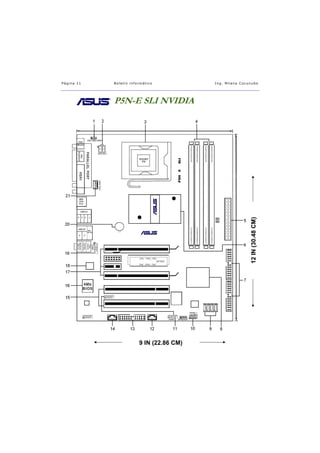 Boletin Informatico1
