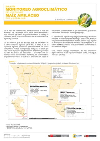 Elaboración:
Dirección General de Políticas Agrarias DGPA-MINAGRI
Dirección General de Agrometeorología DGA-SENAMHI
BOLETÍN
MONITOREO AGROCLIMÁTICO
DEL CULTIVO DE
MAÍZ AMILÁCEO
EN LA SIERRA SUR 3ª década • 21 al 31 de enero, 2018
En el Perú se siembra maíz amiláceo desde el nivel del
mar hasta los 3 800 m de altitud, es un cultivo importante a
nivel nacional. Se cultiva mayoritariamente en la sierra y se
constituye en un cultivo dinamizador de la economía local,
regional y nacional.
Es de destacar que, de acuerdo con los resultados de
la última campaña agrícola (2016-17), el 98,63 % de la
superficie agrícola cosechada (estacionalidad) en dicha
campaña se realizó en el periodo abril-julio, es decir que
para iniciar el proceso de preparación de terreno y siembra
es entre los meses de septiembre – diciembre del año
anterior; siendo importante su monitoreo, así como también
en posteriores meses el cultivo se encuentra en fases de
crecimiento y desarrollo en la que tiene mucho que ver las
variaciones climáticas e hidrológicas (riego).
El Ministerio de Agricultura y Riego (MINAGRI) y el Servicio
Nacional de Meteorología e Hidrología (SENAMHI), trabajan
conjuntamente en el desarrollo de este boletín, cuyo objetivo
es monitorear la variabilidad climática y sus impactos en el
cultivo de Maíz Amiláceo en sus variedades comerciales en
la Sierra Sur del país.
Este boletín recoge información de las estaciones
representativas de los departamentos de Tacna, Moquegua,
Arequipa y Cusco.
BOLIVIA
CHILE
PUNO
CUSCO
ICA
AREQUIPA
LIMA
JUNIN
MADRE DE DIOS
AYACUCHO
TACNA
APURIMAC
HUANCAVELICA
MOQUEGUA
CALLAO
UCAYALI
PERU
BRASIL
BOLIVIA
COLOMBIA
ECUADOR
CHILE
PERU
PERU
VENEZUELA
PERU
LORETO
UCAYALI
PUNO
CUSCO
LIMA
JUNIN
ICA
AREQUIPA
PIURA
MADRE DE DIOS
ANCASH
SAN MARTIN
HUANUCO
PASCO
TACNA
AYACUCHO
AMAZONAS
CAJAMARCA
LA LIBERTAD
APURIMAC
HUANCAVELICA
MOQUEGUA
LAMBAYEQUE
TUMBES
CALLAO
Sources: Esri, USGS, NOAA
0 90 180 270 36045
Kilometers
Coordinate System: WGS 1984 UTM Zone 18S
Projection: Transverse Mercator
Datum: WGS 1984
False Easting: 500,000.0000
False Northing: 10,000,000.0000
Central Meridian: -75.0000
Scale Factor: 0.9996
Latitude Of Origin: 0.0000
Units: Meter
N
12°0'0"S
12°0'0"S
13°0'0"S
13°0'0"S
14°0'0"S
14°0'0"S
15°0'0"S
15°0'0"S
16°0'0"S
16°0'0"S
17°0'0"S
17°0'0"S
18°0'0"S
18°0'0"S
Sources: Esri, DeLorme, USGS, NPS, Sources: Esri, USGS, NOAA
Estación 115129:
CAY CAY · CUSCO
Distrito: Andahuaylillas
Provincia: Quispicanchi
Unidad Hidrográficas: Cuenca Urubamba
Longitud: 71º 42’1
Latitud: 13º 36’1
Altitud (msnm): 3150
Estación 115129:
MACHAGUAY · AREQUIPA
Distrito: Machaguay
Provincia: Castilla
Unidad Hidrográficas: Cuenca Camaná
Longitud: 72º 30’8
Latitud: 15º 38’43
Altitud (msnm): 3150
Estación 100142:
UBINAS · MOQUEGUA
Distrito: Ubinas
Provincia: General Sanchez Cerro
Unidad Hidrográficas: Cuenca Tambo
Longitud: 70º 51’24
Latitud: 16º 22’57
Altitud (msnm): 3491
Estación 117019:
CANDARAVE · TACNA
Distrito: Candarave
Provincia: Candarave
Unidad Hidrográficas: Cuenca Locumba
Longitud: 70º 15’14
Latitud: 17º 16’16
Altitud (msnm): 3435
Fuente: DGA/SENAMHI
Elaboración: DEEIA/DGPA/MINAGRI
1 DGSEP/MINAGRI (Grafico N° 01 y N° 02)
Mapa N° 1
Principales estaciones agrometeorológicas del SENAMHI para cultivo de Maíz Amiláceo - Monitoreo Sur
 