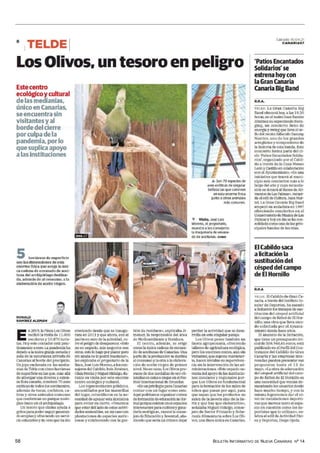 BOLETÍN INFORMATIVO DE NUEVA CANARIAS Nº 14
58
https://lectura.kioskoyma
 