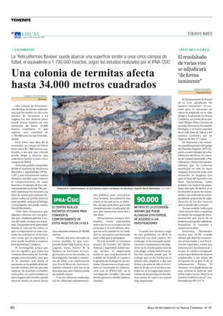 BOLETÍN INFORMATIVO DE NUEVA CANARIAS Nº 16
60
TENERIFE
L O C A L
Lunes, 19 de abril de 2021
30
La ‘Reticulitermes flavipes’ puede abarcar una superficie similar a unos cinco campos de
fútbol, el equivalente a 1.700.000 insectos, según los estudios realizados por el IPNA-CSIC
Una colonia de termitas afecta
hasta 34.000 metros cuadrados
GABRIELA GULESSERIAN
Tacoronte
Una colonia de Reticuliter-
mes flavipes, la termita subterrá-
nea que ha tenido en vilo a los
vecinos de Tacoronte y La
Laguna los dos últimos años,
puede atacar madera en una
extensión de hasta 34.000
metros cuadrados, lo que
supone una cantidad de
1.700.000 insectos aproximada-
mente.
Para tener una idea de la
extensión, un campo de fútbol
tiene cerca de 7.000 metros cua-
drados, o sea que una colonia
puede llegar a abarcar una
superficie similar a unos cinco
campos de fútbol.
Asílohanpodidocomprobar
desde el Instituto de Productos
Naturales y Agrobiología (IPNA-
CSIC), que actualmente realiza
distintos estudios para conocer
el comportamiento de estos
insectos y el tamaño de las colo-
niaspresentesenlaIsla.Elloper-
mite optimizar los recursos a la
hora de actuar para intentar eli-
minar todas las poblaciones lo
antes posible, subraya el biólogo
e investigador del citado centro,
David Hernández.
“Este dato demuestra que
algunas colonias son tan gran-
des que, mediante galerías a tra-
vés del suelo, ocupan esa exten-
sión.Esopuedeservirparasaber
dónde se colocan los cebos, ya
que es importante no solo con-
trolar las colonias en el terreno,
sino evitar que se expandan, y
esto ayuda también a mejorar
los tratamientos”
, sostiene.
El investigador aclara que
eso no significa que todas las
colonias detectadas en Tenerife
tengan esta extensión, sino que
es lo máximo que hasta el
momento se ha podido detectar.
En este sentido, precisa que esta
especie, de acuerdo a estudios
realizados con anterioridad en
otros lugares del mundo, puede
abarcar desde un metro hasta
CONOCER EL COMPORTAMIENTO DE ESTA ESPECIE AYUDA A OPTIMIZAR LOS RECURSOS, ASEGURA DAVID HERNÁNDEZ. Fran Pallero
DIARIO DE AVISOS
Puerto de la Cruz
ElAyuntamientodePuerto
de la Cruz adjudicará “de
manera inminente” el con-
trato para la ejecución de
obras de asfaltado en la calle
Bélgica, la plaza de los Reyes
Católicos, un tramo de la ave-
nida Obispo Pérez Cáceres, la
avenida Hermanos Fernández
Perdigón, y el tramo superior
de la calle Juan de Tejera y del
camino Cordobés, por un
importe de 684.577 euros.
En respuesta a las recien-
tes manifestaciones del grupo
del Partido Popular (PP) res-
pecto a estos trabajos de reha-
bilitación del firme, el conce-
jal de Ciudad Sostenible y Pla-
nificación, David Hernández,
subraya que “el Gobierno
municipal no solo no tiene
ninguna intención dejar esta
actuación ni ninguna otra
para el final del mandato con
fines electoralistas, como
señalan con mala fe los popu-
lares, sino que, de hecho, ya se
ha reunido la mesa de contra-
tación y ha realizado la corres-
pondiente propuesta de adju-
dicación de los dos lotes en
que se divide este contrato”
.
Enestesentido,indica que
“únicamente falta completar
el trámite de entrega de docu-
mentación por parte de la
empresaparapoderadjudicar,
formalizar el contrato y
comenzar la obra”
.
Asimismo, Hernández
recalca que “el PP, cuando
afirma que dejó las actuacio-
nes proyectadas y con finan-
ciación específica, omite una
información fundamental, y
es que el crédito consignado
setuvoquededicardemanera
inaplazable a las obras de
recepción de la fase II de la
urbanización Parque El
Durazno, en cumplimiento de
una sentencia judicial que
debía haber hecho efectiva el
anterior Gobierno local”
, con-
formado por PP y CC.0
El reasfaltado
de varias vías
se adjudicará
“de forma
inminente”
una extensión máxima de 90.000
metros.
Dentro del área afectada en
mayor medida, la que com-
prende desde Valle Guerra, en La
Laguna, hasta Puerto de la
Madera, en Tacoronte, se esco-
gieron tres zonas de estudio. La
investigación,iniciadaacomien-
zos de 2020, y en colaboración
con David Mora de Anticimex,
todavía continúa y por eso no se
descarta que una colonia pueda
ser todavía mayor.
Tras los esfuerzos realizados
por las diferentes administracio-
nes públicas para exterminar
esta termita, actualmente hay
zonas en las que ya no se detec-
tan, aunque para decir que están
completamente erradicadas tie-
nen que transcurrir entre dos y
tres años.
Ahora mismo, asegura Her-
nández, “están controlados
todos los focos a excepción del
principal y en este último, aun-
que no se ha tratado en su totali-
dad se encuentra perimetrado
para evitar que se propague”
.
En este sentido, la consejera
insular de Gestión del Medio
Natural y Seguridad, Isabel Gar-
cía, recalca el importante
esfuerzo que está haciendo el
Cabildo de Tenerife en cuanto a
la gestión de la plaga de las ter-
mitas. Un proceso en el que tam-
bién se contempla la colabora-
ción con el IPNA-CSIC en la
investigación científica “que está
siendo pionera a niveles interna-
cionales”
.
“Cuando nos hicimos cargo
de este problema, en 2019, la
situación era muy oscura. Sin
embargo, se ha avanzado positi-
vamenteymantenemoslosobje-
tivos en la erradicación total de
esta plaga”
, señala Isabel García.
En este sentido, añade que “el
trabajo que se ha hecho en el
último año empieza a dar sus
frutos y prueba de ello es la evi-
dencia de que ya en los focos ais-
lados no se ha registrado movi-
mientodelastermitasenlosúlti-
mos meses, lo cual es un avance
muy importante.
EL CENTRO REALIZA
DISTINTOS ESTUDIOS PARA
CONOCER EL
COMPORTAMIENTO DE
ESTOS INSECTOS EN LA ISLA
IPNA-CSIC
METROS ES LA EXTENSIÓN
MÁXIMA QUE PUEDE
ALCANZAR ESTA ESPECIE,
DE ACUERDO A LAS
INVESTIGACIONES
90.000
TACORONTE PTO. DE LA CRUZ
TENERIFE NORTE
 