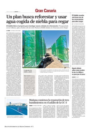 BOLETÍN INFORMATIVO DE NUEVA CANARIAS Nº 3
 