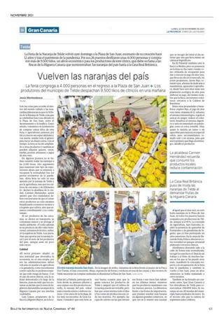 NOVIEMBRE 2021
BOLETÍN INFORMATIVO DE NUEVA CANARIAS Nº 44 63
 