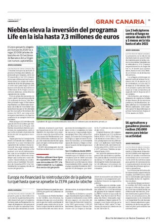 BOLETÍN INFORMATIVO DE NUEVA CANARIAS Nº 5
36
7 https://lectura.kios
 