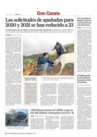 BOLETÍN INFORMATIVO DE NUEVA CANARIAS Nº 6
 