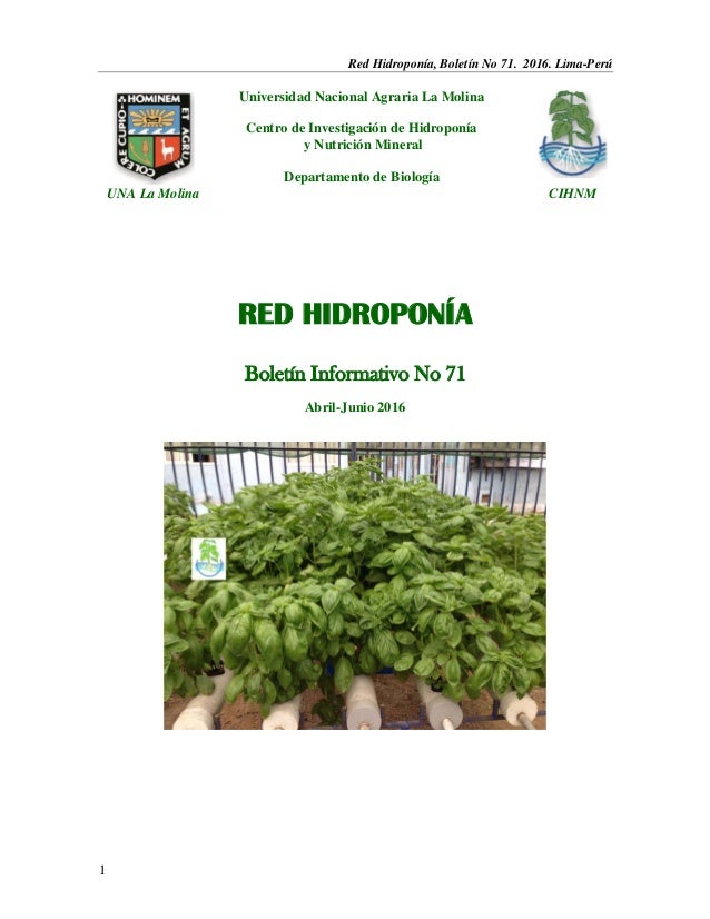 Manual De Cultivos Hidropnicos Populares Produccin De