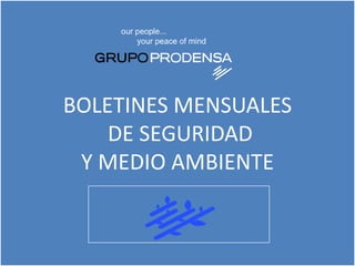 BOLETINES MENSUALES
DE SEGURIDAD
Y MEDIO AMBIENTE
 