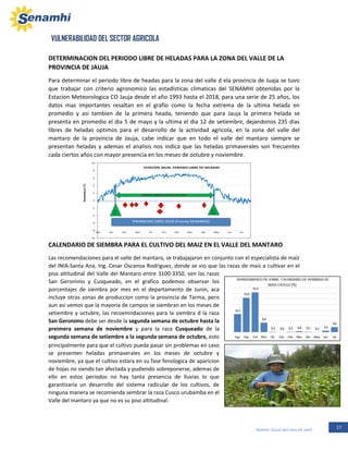 17Boletín Zonal del mes de abril
VULNERABILIDAD DEL SECTOR AGRICOLA
DETERMINACION DEL PERIODO LIBRE DE HELADAS PARA LA ZONA DEL VALLE DE LA
PROVINCIA DE JAUJA
Para determinar el periodo libre de headas para la zona del valle d ela provincia de Juaja se tuvo
que trabajar con criterio agronomico las estadisticas climaticas del SENAMHI obtenidas por la
Estacion Meteorologica CO Jauja desde el año 1993 hasta el 2018, para una serie de 25 años, los
datos mas importantes resaltan en el grafio como la fecha extrema de la ultima helada en
promedio y asi tambien de la primera heada, teniendo que para Jauja la primera helada se
presenta en promedio el dia 5 de mayo y la ultima el dia 12 de setiembre, dejandonos 235 dias
libres de heladas optimos para el desarrollo de la actividad agricola, en la zona del valle del
mantaro de la provincia de Jauja, cabe indicar que en todo el valle del mantaro siempre se
presentan heladas y ademas el analisis nos indica que las heladas primaverales son frecuentes
cada ciertos años con mayor presencia en los meses de octubre y noviembre.
CALENDARIO DE SIEMBRA PARA EL CULTIVO DEL MAIZ EN EL VALLE DEL MANTARO
Las recomendaciones para el valle del mantaro, se trabajajaron en conjunto con el especialista de maíz
del INIA-Santa Ana, Ing. Cesar Oscanoa Rodriguez, donde se vio que las razas de maíz a cultivar en el
piso altitudinal del Valle del Mantaro entre 3100-3350, son las razas
San Geronimo y Cusqueado, en el grafico podemos observar los
porcentajes de siembra por mes en el departamento de Junin, aca
incluye otras zonas de produccion como la provincia de Tarma, pero
aun asi vemos que la mayoria de campos se siembran en los meses de
setiembre y octubre, las recoemndaciones para la siembra d la raza
San Geronimo debe ser desde la segunda semana de octubre hasta la
preimera semana de noviembre y para la raza Cusqueado de la
segunda semana de setiembre a la segunda semana de octubre, esto
principalmente para que el cultivo pueda pasar sin problemas en caso
se presenten heladas primaverales en los meses de octubre y
noviembre, ya que el cultivo estara en su fase fenologica de aparicion
de hojas no siendo tan afectada y pudiendo sobreponerse, ademas de
ello en estos periodos no hay tanta presencia de lluvias lo que
garantizaria un desarrollo del sistema radicular de los cultivos, de
ninguna manera se recomienda sembrar la raza Cusco urubamba en el
Valle del mantaro ya que no es su piso altitudinal.
 