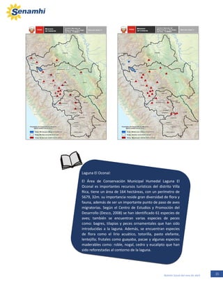 21Boletín Zonal del mes de abril
Laguna El Oconal:
El Área de Conservación Municipal Humedal Laguna El
Oconal es importantes recursos turísticos del distrito Villa
Rica, tiene un área de 164 hectáreas, con un perímetro de
5679, 32m. su importancia reside gran diversidad de flora y
fauna, además de ser un importante punto de paso de aves
migratorias. Según el Centro de Estudios y Promoción del
Desarrollo (Desco, 2008) se han identificado 61 especies de
aves; también se encuentran varias especies de peces
como: bagres, tilapias y peces ornamentales que han sido
introducidas a la laguna. Además, se encuentran especies
de flora como el lirio acuático, totorilla, pasto elefante,
lentejilla; frutales como guayaba, pacae y algunas especies
maderables como: roble, nogal, cedro y eucalipto que han
sido reforestadas al contorno de la laguna.
 