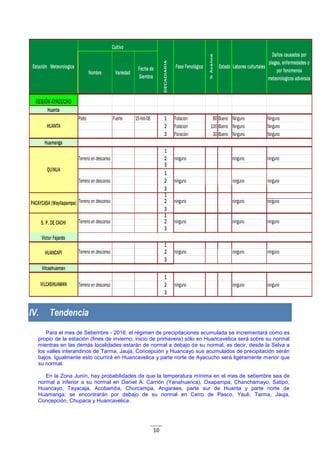 10
REGIÓN AYACUCHO
Huanta
Palto Fuerte 15-feb-06 1 Foliacion 80 Bueno Ninguno Ninguno
2 Foliacion 100 Bueno Ninguno Ninguno
3 Floraciòn 30 Bueno Ninguno Ninguno
Huamanga
1
Terreno en descanso 2 ninguno ninguno ninguno
3
1
Terreno en descanso 2 ninguno ninguno ninguno
3
1
Terreno en descanso 2 ninguno ninguno ninguno
3
1
Terreno en descanso 2 ninguno ninguno ninguno
3
Victor Fajardo
1
Terreno en descanso 2 ninguno ninguno ninguno
3
Vilcashuaman
1
Terreno en descanso 2 ninguno ninguno ninguno
3
VILCASHUAMAN
DECADIARIA
Fase Fenológica
%Avance
Estado
HUANTA
QUINUA
PACAYCASA (Wayllapampa)
S. P. DE CACHI
HUANCAPI
Labores culturtales
Daños causados por
plagas, enfermedades o
por fenomenos
meteorologicos adversos
Estación Meteorologica
Cultivo
Nombre Variedad
Fecha de
Siembra
IV. Tendencia
Para el mes de Setiembre - 2016, el régimen de precipitaciones acumulada se incrementará como es
propio de la estación (fines de invierno, inicio de primavera) sólo en Huancavelica será sobre su normal
mientras en las demás localidades estarán de normal a debajo de su normal, es decir, desde la Selva a
los valles interandinos de Tarma, Jauja, Concepción y Huancayo sus acumulados de precipitación serán
bajos. Igualmente esto ocurrirá en Huancavelica y parte norte de Ayacucho será ligeramente menor que
su normal.
En la Zona Junín, hay probabilidades de que la temperatura mínima en el mes de setiembre sea de
normal a inferior a su normal en Daniel A. Carrión (Yanahuanca), Oxapampa, Chanchamayo, Satipo,
Huancayo, Tayacaja, Acobamba, Churcampa, Angaraes, parte sur de Huanta y parte norte de
Huamanga; se encontrarán por debajo de su normal en Cerro de Pasco, Yauli, Tarma, Jauja,
Concepción, Chupaca y Huancavelica.
 