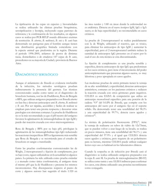 Boletín Epidemiológico Periódico
Boletín especial
La tipificación de las cepas en especies y biovariedades
se realiza utilizando las clásicas pruebas bioquímicas,
serotipificación y lisotipia, incluyendo cepas patrones de
referencia y la confirmación de los resultados, en algunos
casos se realiza por PCR-RFLP usando diferentes enzimas
de restricción. B. abortus, B. melitensis, B. suis y B. canis han
demostrado ser patógenas para el hombre aunque tienen
una distribución geográfica limitada coincidente con
la especie animal que predomina en la región. Durante
el período 1996-2005, aislamos de perros de distintas
razas, domiciliarios o de criaderos 147 cepas de B. canis,
procedentes en su mayoría de Ciudad y provincia de Buenos
Aires.
Diagnóstico serológico
Aunque el aislamiento de Brucella es evidencia irrefutable
de la infección, los métodos serológicos prueban
indirectamente la presencia del germen. Las técnicas
convencionales usadas como tamiz en el diagnóstico de
brucelosis humana, son las de Huddleson, Rosa de Bengala
o BPA, que utilizan antígenos preparados con Brucella abortus
en fase lisa y detectan anticuerpos anti B. abortus, B. melitensis
y B. suis. Por ser rápidas, accesibles y fáciles de realizar se
emplean para tener una pronta respuesta y descartar otras
patologías con síntomas comunes. La prueba de Huddleson
no es la más recomendada ya que el pH neutro del antígeno
favorece la aglutinación de inmunoglobulinas de tipo IgM y
puede dar reacción cruzada con otros microorganismos.
Rosa de Bengala y BPA por su bajo pH, privilegian la
aglutinación de las inmunoglobulinas tipo IgG reduciendo
lasreaccionesinespecíficas.BPAesligeramentemássensible
que Rosa de Bengala y se recomienda para el estudio de
brucelosis en sangre a transfundir.
Entre las pruebas confirmatorias convencionales las de
Wright, 2-mercaptoetanol y fijación de complemento, por
su bajo costo, siguen utilizándose en la actualidad en algunos
países. La primera ha sido utilizada como prueba estándar
y a menudo como única confirmatoria, el antígeno tiene
el mismo pH que la de Huddleson y presenta los mismos
inconvenientes. Hay discrepancias respecto al punto de
corte y algunos autores han sugerido el título 1:320 en
las área rurales y 1:80 en áreas donde la enfermedad no
es endémica. Detecta en el suero isotipos IgM, IgG e IgA
suero, es de baja especificidad y no recomendable en casos
crónicos.
La prueba de 2-mercaptoetanol se realiza paralelamente
con la de Wright, utilizando el reactivo, que es tóxico,
para eliminar los anticuerpos de tipo IgM y aumentar la
especificidad, pero el 2-mercaptoetanol también reduce la
cantidad de anticuerpos IgG presentes en el suero por lo
cual el uso de esta técnica se esta discontinuando.
La fijación de complemento es una prueba sensible y
específica, detecta anticuerpos de tipo IgG que predominan
en los casos crónicos, pero tiene el inconveniente del poder
anticomplementario que presentan algunos sueros, es muy
laboriosa y poco apropiada en casos agudos.
Las modernas pruebas de unión primaria tienen la ventaja
de su alta sensibilidad y especificidad, detectan anticuerpos
asimétricos, comunes en los pacientes crónicos y reducen
la reacción cruzada con otros gérmenes gram negativos.
CELISA es una ELISA de competición que utiliza un
anticuerpo monoclonal específico para una porción de la
cadena “O” del S-LPS de Brucella, que compite con los
anticuerpos del suero por el antígeno fijo en el soporte
sólido. Ha demostrado tener una sensibilidad del 98.3%
y una especificidad de 99.7%, detecta casos agudos y
crónicosIII
.
La técnica de polarización fluorescente (FPA)IV
, tiene
la ventaja de realizarse en tubos de vidrio de 12x75mm,
que se pueden volver a usar luego de su lavado, se realiza
en pocos minutos, tiene una sensibilidad del 96.1% y una
especificidad del 97.9% y al igual que CELISA detecta
casos agudos y crónicos, pero requiere de un polarímetro
para su lectura, mientras CELISA puede utilizar cualquier
lector cuyo uso es habitual en los laboratorios clínicos.
Cuando la sospecha es de infección por Brucella canis el
diagnóstico se realiza utilizando antígenos preparados con
la cepa B. canis M. La prueba de microaglutinación (RSAT)
se utiliza como tamiz y una ELISA indirecta para confirmar
los casos, esta última utilizando una proteína recombinante
como conjugado.
11
 
