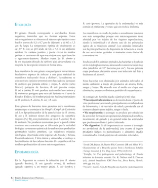 Boletín Epidemiológico Periódico
Boletín especial
Etiología
El género Brucella corresponde a cocobacilos Gram
negativos, inmóviles que no forman esporas. Estos
microorganismos se observan al microscopio óptico como
bacilos cortos de 0,5 a 0,7 µm de diámetro y de 0,5 a 1,5
µm de largo. La temperatura óptima de crecimiento es
de 37° C con un pH ácido de 6,6 a 7,4 en un ambiente
aerobio. Es catalasa positiva y puede crecer en medios
pobres en nutrientes de agar-soya-tripticasas, agar-brucelas
o agar-suero-dextrosa. Muchas cepas de B. abortus y
B. ovis requieren dióxido de carbono para desarrollarse y la
mayoría de las especies crecen en forma lenta.
Los miembros de este género son patógenos intracelulares
facultativos capaces de infectar a una gran variedad de
mamíferos incluyendo focas y delfines4
. Actualmente se
conocen seis especies terrestres entre las cuales se destacan:
B. melitensis que parasita cabras y ovejas, B. abortus (ocho
biovars) patógena de bovinos, B. ovis parasita ovejas,
B. suis a cerdos, B. canis produce enfermedad en caninos y
B. neotomae es patógena para ratas del desierto en el oeste de
Estados Unidos. El hombre puede ser huésped secundario
de B. melitensis, B. abortus, B. suis y B. canis.
Este género de bacterias tiene proteínas en la membrana
externa que se asemejan a las OmpF y OmpA de Escherichia
coli. Los lipopolisacaridos de la pared celular de B. abortus,
B. suis y B. melitensis tienen dos antigenos de superficie
mayores (A y M), con predominio de A en B. abortus y M en
B. melitensis. No producen exotoxinas, pero la pared celular
contiene una exotoxina que se diferencia por la actividad
biológicayestructuraquímicadelasendotoxinasproducidas
pormuchos bacilos entéricos. Las reacciones cruzadas
serológicas observadas entre especies de Brucella y Yersinia,
Francisella tularensis, Vibrio cholerae y salmonelas se atribuye a
las similitudes de las cadenas laterales O- específicas de los
residuos polisacáridos de estos microorganismos.
Epidemiología
En la Argentina se conoce la infección con B. abortus
(ganado bovino), B. ovis (ganado ovino), B. melitensis
(ganado caprino) y, en menor grado, B. suis (cerdos) y
B. canis (perros). La aparición de la enfermedad es más
común en primavera y verano que en otoño e invierno.
Los mamíferos en estado de preñez o sexualmente maduros
son más susceptibles porque este microorganismo tiene
afinidad por los tejidos de los órganos reproductivos,
siendo la infertilidad o el aborto uno de los principales
signos de la brucelosis animal5
. Los animales infectados
son la principal fuente de dispersión de la bacteria a través
de sus secreciones genitales o mamarias como factor de
contaminación.
En el caso de los animales preñados, las bacterias se localizan
en los tejidos placentarios, alcanzando concentraciones muy
altas (alrededor de 1010
bacterias por cm3
). En una primera
etapa producen placentitis severa con infección del feto y
finalmente el aborto6
.
Estas bacterias son eliminadas por animales infectados al
medio ambiente a través de productos de aborto, leche,
sangre y heces. De acuerdo con el medio en el que son
eliminadas, presentan distintos períodos de supervivencia.
El contagio del hombre puede ocurrir por tres vías:
• Vía conjuntival o cutánea: es de interés desde el punto de
vista profesional ocurriendo principalmente en trabajadores
de laboratorio, o de servicios de salud y producida por el
contacto directo entre tejidos, sangre o linfa.
• Vía respiratoria: el contagio se produce por inhalación
de aerosoles formados en operaciones, limpieza de establos,
movimiento de ganado y en general todas las actividades
que puedan movilizar el polvo infectado.
• Vía digestiva: Es de importancia en cuanto al contagio
no profesional de la enfermedad; éste ocurre al ingerir
productos lácteos no pasteurizados o alimentos crudos
contaminados con deyecciones de animales infectados.
4
Ewalt DR; Payeur JB; Martin BM; Cummins DR and Miller WG.
Characteristics of a Brucella species from a bottlenose dolphin
(Tursiops truncatus). J. Vet. Diag. Invest. 1994; 6:448-452.
5
Enright, .M. The pathogenesis and pathobiology of Brucella
infection in domestic animals. En. K. Nielsen and B. Duncan
(ed.). Animal brucellosis. CRC Press Inc., Boca Ratón, Florida.
1990. pp. 301-320.
6
Freer, E y Castro-Arce, R. Brucella: una bacteria virulenta carente
6
 