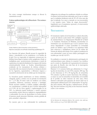 Boletín Epidemiológico Periódico
Boletín especial
No existe contagio interhumano aunque se discute la
transmisión sexual.
Cadena epidemiológica de la Brucelosis - Vía cutáneo-
mucosa
Fuente: Medicina Laboral. Brucelosis: normas preventivas
http://www.estrucplan.com.ar/Producciones/entrega.asp?IdEntrega=179
Las bacterias del género Brucella poseen la capacidad de
fijarse e introducirse en las conjuntivas o en heridas de
la piel. Una vez ingresadas al organismo avanzan por vía
linfática hasta llegar al primer centro ganglionar, donde se
multiplican, para posteriormente diseminarse a modo de
septicemia, con especial afinidad por los órganos del sistema
reticuloendotelial donde se localiza intracelularmente;
evadiendo así los mecanismos de defensa celulares y
humorales. De esta manera la bacteria se transporta dentro
de los fagocitos, esparciéndose a diferentes órganos y
causando la destrucción de las células que las transportan.
La brucelosis puede manifestarse en forma subclínica,
subaguda, aguda y crónica con un período de incubación
de 7 a 21 días. El inicio suele ser insidioso con fiebre,
escalofríos, diaforesis, cansancio, anorexia y lumbalgia.
Puede asociarse también a cefaleas, mialgias, odinofagia,
tos, estreñimiento y pérdida de peso. Existen adenopatías
en el 50% de los casos agudos y esplenomegalia en un
30%. La infección puede localizarse y ocurrir entonces
osteomielitis, artritis, abscesos esplénicos, orquiepididimitis
y endocarditis. En caso de desarrollarse en forma crónica
el paciente puede presentar febrículas, astenia, pérdida de
peso, ansiedad o depresión.
En nuestro país es una enfermedad de notificación
obligatoria, sin embargo las estadísticas oficiales no reflejan
el número real de personas infectadas, por lo que se estima
que la verdadera incidencia sería de 10 a 25 veces más alta
que la indicada. Los casos a menudo no son reconocidos
y son tratados como “fiebre de origen desconocido”
impidiendo esto el tratamiento oportuno y la intervención
epidemiológica adecuada.
Tratamiento
El tratamiento óptimo de la brucelosis es todavía discutido,
a pesar de haberse usado desde 1947, múltiples esquemas
de antimicrobianos. La Organización Mundial de la Salud
y la Academia Americana de Pediatría, recomiendan un
tratamiento con una duración que va de 6 semanas hasta
meses dependiendo si existe cronicidad. La cronicidad
puede ser debida a que la Brucella es un organismo hábil
para sobrevivir y multiplicarse dentro de las células del
sistema de defensa del cuerpo. Esto explica la tendencia de
esta enfermedad a tener un curso clínico prolongado con
recaídas que van del 4 al 41%.
En pediatría se necesita la administración prolongada de
antiomicrobianos para obtener la curación. Las recidivas
por lo común no dependen de la generación de resistencia
por parte de Brucella, sino más bien de la interrupción
prematura del tratamiento.
Durante 4 ó 6 semanas habrá que administrar 2 a 4 mg/
kg/día de doxiciclina vía oral (VO); máximo 200 mg/ día
en dos fracciones (ó 30 a 40 mg/kg/día. de tetraciclina
VO; máximo 2 g/día en cuatro fracciones). Sin embargo,
es mejor no usar la tetraciclina ni doxiciclina en la medida
de lo posible en niños menores de ocho años. Otros
fármacos adecuados para pacientes de menor edad son el
trimetoprim-sulfametoxazol VO (trimetoprim 10 mg/kg/
día; dosis máxima, 480 mg/día y sulfametoxazol, 50 mg/
Kg/ día; dosis máxima 2,4 g/día) en dos fracciones durante
cuatro a seis semanas.
de los factores de virulencia clásicos. Rev. costarric. cienc. méd, jun.
2001, vol.22, no.1-2, p.73-82. ISSN 0253-2948.
7
RESERVORIO
SALVAJE
Liebre, rata, jabalí
RESERVORIO
DOMESTICO
Vaca, cabra,
cerdo, oveja
LECHE Y DERIVADOS
CONTAGIO DIRECTO
Contacto de piel y mucosas con:
secreciones vaginales, abortos,
orina, heces, sudor, secresiones
nasales
CONTAGIO INDIRECTO
A través de la contaminación del
ambiente por los mismos agentes
que originan el contagio directo
VIA DIGESTIVA
Verduras, agua
INGESTION
HOMBRE
VIA INHALATORIA
Polvo del establo,
aerosoles
 