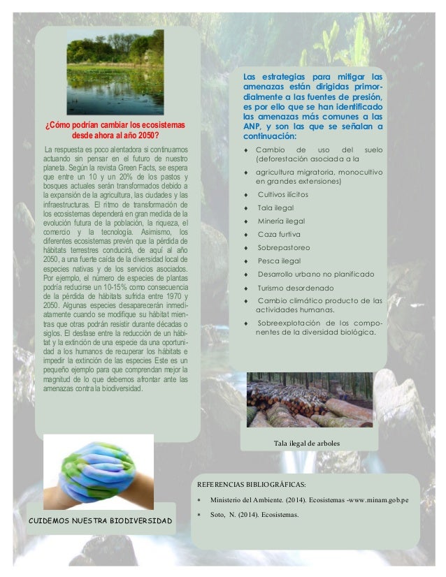 Boletín Ambiental - Cultura Ambiental
