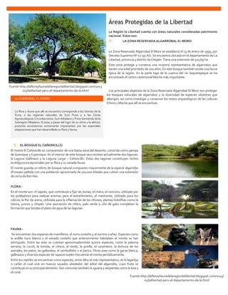Fuente:http://laflorayfaunadelaregionlalibertad.blogspot.com/2013
/05/lalibertad-peru-el-departamento-de-la.html
Fuente:http://laflorayfaunadelaregionlalibertad.blogspot.com/2013/
05/lalibertad-peru-el-departamento-de-la.html
La Región la Libertad cuenta con áreas naturales consideradas patrimonio
nacional. Estos son:
 LA ZONA RESERVADA ALGARROBAL EL MORO
La Zona Reservada Algarrobal El Moro se estableció el 13 de enero de 1995, por
Decreto Supremo Nº 02-95-AG. Se encuentra ubicada en el departamento de La
Libertad, provincia y distrito de Chepén. Tiene una extensión de 320,69 ha.
Esta zona protege y conserva una muestra representativa de algarrobos que
tienen una edad promedio de 100 años. En este bosque también existe una fauna
típica de la región. En la parte baja de la cuenca del río Jequetepeque se ha
encontrado el centro ceremonial Moche más importante.
Los principales objetivos de la Zona Reservada Algarrobal El Moro son proteger
los bosques naturales de algarrobos y la diversidad de especies silvestres que
albergan, así como investigar y conservar los restos arqueológicos de las culturas
Chimú y Moche que allí se encuentran.
 EL BOSQUE EL CAÑONCILLO
El monte El Cañoncillo es comprensión de una basta zona del desierto, conocida como pampa
de Güereque y Cupisnique. En el interior de este bosque seco existen actualmente dos lagunas:
la Laguna Gallinazo y la Laguna Larga – Cañoncillo. Estas dos lagunas constituyen nichos
ecológicos excepcionales por su flora y su variada fauna.
El monte guarda un relicto de bosque natural compuesto mayormente de la especie algarrobo
(Prosopis pallida) con una población aproximada de 100,000 árboles que cubren una extensión
de cerca de 800 Has.
FLORA :
En el monte son: el zapote, que contribuye a fijar las dunas; el chilco; el concuno, utilizado por
los pobladores para realizar enemas para el estreñimiento, el mestrante, utilizado para los
cólicos; la flor de arena, utilizada para la inflamación de los riñones; plantas hidrófitas como la
totora, juncos y chopes. Una asociación de chilco, palo verde y uña de gato completan la
formación que bordea el plano de agua de las lagunas.
FAUNA :
Se encuentran dos especies de mamíferos: el zorro costeño y el zorrino o añaz. Especies como
la ardilla nuca blanca y el venado costeño que anteriormente habitaban el monte se han
extinguido. Entre las aves se cuentan aproximadamente quince especies, como la paloma
serrana, la cuculí, la tortola, el chisco, el tordo, la putilla, el carpintero, la lechuza de los
arenales, los patos, las gallaretas, el zambullidor y el perico. Otras aves como la garza blanca,
gallinazos y diversos especies de rapaces suelen frecuentar el monte periódicamente.
Entre los reptiles se encuentran cinco especies, entre ellos el más representativo, es la lagartija
o cañán el cual vive en huecos cavados alrededor del árbol del algarrobo, cuyo fruto se
constituye en su principal alimento. Son comunes también la iguana y serpientes como la boa y
el coral.
ALGARROBAL EL MORO
La flora y fauna que allí se encuentra corresponde a los biomas de la
Puna, a las regiones naturales de Suni Puna y a las Zonas
Agroecológicas Circunlacustres, Suni Altiplano y Puna Semiárida de la
Subregión Altiplano. El área, a pesar del rigor de su clima y la altitud,
presenta ecosistemas sumamente importantes por las especiales
adaptaciones que han desarrollado su flora y fauna.
Áreas Protegidas de la Libertad
 