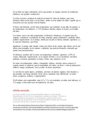 Es un frutal de origen subtropical, por lo que prefiere un margen estrecho de condiciones 
climáticas (sin grandes oscilaciones). 
Los fríos excesivos producen la caída de las hojas.No tolera las heladas, pues estas 
producen daños en las hojas y en los frutos, siendo su zona óptima de cultivo aquella que se 
caracteriza por una ausencia total de heladas. 
El factor más limitante son las bajas temperaturas que redundan en una falta de cuajado; si 
las temperaturas son inferiores a -13ºC producen manchas negras en la piel y en la pulpa 
del fruto. 
Los vientos secos y las altas temperaturas en floración disminuyen el cuajado (seca los 
estigmas y disminuye la población de Orius, principal agente polinizador), pudiendo influir 
también negativamente en el anclaje, debido por un lado al sistema radicular superficial y a 
la copa tan voluminosa que forma. 
Igualmente el ramaje sufre muchas roturas por efecto de los vientos algo fuertes, por lo que 
deben estar protegidos de los mismos o aplicarles una poda de formación adecuada que 
atenúe estos inconvenientes. 
El chirimoyo produce mal en zonas con temperaturas máximas superiores a 30ºC en 
verano, influyendo negativamente en el cuajado del fruto y en el crecimiento del árbol, 
pudiendo ocasionar quemaduras en hojas y frutos muy expuestos al sol. 
En zonas con temperaturas cálidas y humedades relativas elevadas (áreas costeras) el 
cuajado natural es suficiente para la rentabilidad del cultivo sin llevar a cabo la polinización 
artificial aunque actualmente ésta se realiza de forma mayoritaria. 
Le van bien los suelos ligeros, profundos, provistos de materia orgánica, bien drenados y 
que permitan una buena aireación de las raíces; vegetando muy difícilmente en suelos 
duros, compactos, arcillosos e impermeables. 
El pH óptimo está comprendido entre 6,5 y 7,5 y con contenidos en caliza total inferiores al 
7%, aunque se han dado casos de deficiencias de calcio. 
chicha morada 
La chicha morada es una refrescante bebida hecha con maíz morado. 
Generalmente se sirve fría o a temperatura ambiente y es dulce. En Lima, la 
chicha morada es muy popular en restaurantes y muchas veces es más 
consumida que las gaseosas. El maíz morado también es bueno para controlar 
la presión arterial alta y contiene antioxidantes. 
Por su alto contenido de antocianinas (Cianin-3-glucosa o C3G, su principal colorante) y 
compuestos fenólicos, tiene propiedades funcionales y bioactivas; así como una alta capacidad 
antioxidante. Por ejemplo, la Escuela de Medicina de la Universidad de Nagoya (Japón) ha 
 