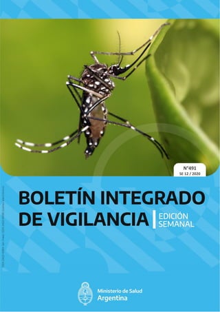 1491 Boletín Integrado de Vigilancia Semana Epidemiológica 12/2020
N°491
SE 12 / 2020
 