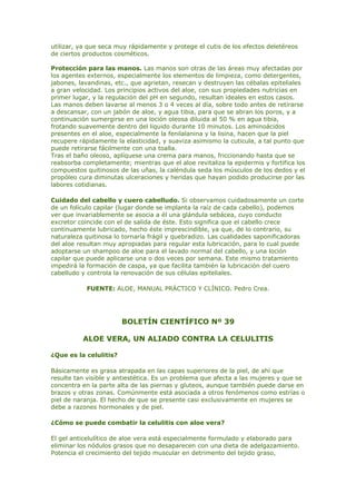 utilizar, ya que seca muy rápidamente y protege el cutis de los efectos deletéreos
de ciertos productos cosméticos.
Protección para las manos. Las manos son otras de las áreas muy afectadas por
los agentes externos, especialmente los elementos de limpieza, como detergentes,
jabones, lavandinas, etc., que agrietan, resecan y destruyen las cébalas epiteliales
a gran velocidad. Los principios activos del aloe, con sus propiedades nutricias en
primer lugar, y la regulación del pH en segundo, resultan ideales en estos casos.
Las manos deben lavarse al menos 3 o 4 veces al día, sobre todo antes de retirarse
a descansar, con un jabón de aloe, y agua tibia, para que se abran los poros, y a
continuación sumergirse en una loción oleosa diluida al 50 % en agua tibia,
frotando suavemente dentro del liquido durante 10 minutos. Los aminoácidos
presentes en el aloe, especialmente la fenilalanina y la lisina, hacen que la piel
recupere rápidamente la elasticidad, y suaviza asimismo la cuticula, a tal punto que
puede retirarse fácilmente con una toalla.
Tras el baño oleoso, aplíquese una crema para manos, friccionando hasta que se
reabsorba completamente; mientras que el aloe revitaliza la epidermis y fortifica los
compuestos quitinosos de las uñas, la caléndula seda los músculos de los dedos y el
propóleo cura diminutas ulceraciones y heridas que hayan podido producirse por las
labores cotidianas.
Cuidado del cabello y cuero cabelludo. Si observamos cuidadosamente un corte
de un folículo capilar (lugar donde se implanta la raíz de cada cabello), podemos
ver que invariablemente se asocia a él una glándula sebácea, cuyo conducto
excretor coincide con el de salida de éste. Esto significa que el cabello crece
continuamente lubricado, hecho éste imprescindible, ya que, de lo contrario, su
naturaleza quitinosa lo tornaría frágil y quebradizo. Las cualidades saponificadoras
del aloe resultan muy apropiadas para regular esta lubricación, para lo cual puede
adoptarse un shampoo de aloe para el lavado normal del cabello, y una loción
capilar que puede aplicarse una o dos veces por semana. Este mismo tratamiento
impedirá la formación de caspa, ya que facilita también la lubricación del cuero
cabelludo y controla la renovación de sus células epiteliales.
FUENTE: ALOE, MANUAL PRÁCTICO Y CLÍNICO. Pedro Crea.
BOLETÍN CIENTÍFICO Nº 39
ALOE VERA, UN ALIADO CONTRA LA CELULITIS
¿Que es la celulitis?
Básicamente es grasa atrapada en las capas superiores de la piel, de ahí que
resulte tan visible y antiestética. Es un problema que afecta a las mujeres y que se
concentra en la parte alta de las piernas y gluteos, aunque también puede darse en
brazos y otras zonas. Comúnmente está asociada a otros fenómenos como estrías o
piel de naranja. El hecho de que se presente casi exclusivamente en mujeres se
debe a razones hormonales y de piel.
¿Cómo se puede combatir la celulitis con aloe vera?
El gel anticelulítico de aloe vera está especialmente formulado y elaborado para
eliminar los nódulos grasos que no desaparecen con una dieta de adelgazamiento.
Potencia el crecimiento del tejido muscular en detrimento del tejido graso,
 