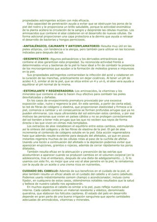 propiedades astringentes actúen con más eficacia.
Esta capacidad de penetración ayuda a evitar que se obstruyan los poros de la
piel del rostro y le proporciona un brillo saludable, porque la actividad enzimática
de la planta acelera la circulación de la sangre y desprende las células muertas. Los
aminoacidos que contiene el aloe colaboran en el desarrollo de nuevas células. De
forma adicional proporcionan una capa protectora a la dermis que ayuda a retrasar
el desarrollo de bacterias y hongos perniciosos.
-ANTIALÉRGICO, CALMANTE Y ANTIINFLAMATORIO: Resulta muy útil en las
pieles atópicas, con tendencia a la alergia, pero también para utilizar en las lociones
indicadas para después del sol.
-DESINFECTANTE: Algunos polisacáricos y los derivados antracénicos que
contiene el aloe garantizan esta propiedad. Su reconocida actividad frente a
determinados virus y bacterias de la piel lo hace ideal a fin de combatir la presencia
de los microorganismos que ayudan a la formación de molestos granos e impurezas
en la piel.
Sus propiedades astringentes contrarrestan la infección del acné y colaboran en
la curación de las manchas, prácticamente sin dejar cicatrices. Al tener un pH de
acidez 4.3, similar al de la piel, que se sitúa entre un 4 y un 6, el aloe vera ayuda a
equilibrar el pH normal de la misma.
-ESTIMULANTE Y REGENERADORA: Los aminoacidos, la vitaminas y los
minerales que contiene el aloe lo hacen muy efectivo para combatir las pieles
desvitalizadas y dañadas.
En los casos de envejecimiento prematuro provocado por una excesiva
exposición solar, nutre y regenera la piel. En este sentido, a partir de cierta edad,
la red de fibras de colágeno y elastina, que proporcionan elasticidad y firmeza a la
piel, comienza a cambiar y en consecuencia se forman profundas arrugas que ya no
pueden eliminarse. Los rayos ultravioleta del sol estimulan estos cambios, y por ese
motivos las personas que vivien en países cálidos y no se protegen correctamente
del sol tienden a tener más arrugas que las que no reciben sus rayos de forma
directa o las que viven en climas más templados.
Los extractos de aloe restablecen el equilibrio entre estos cambios, estimulando
así la síntesis del colágeno y de las fibras de elastina de la piel. El gel de aloe
incrementa el contenido de colágeno soluble en la piel. Esta acción regeneradora
hace que además resulte excelente para después del afeitados, ya que en pocos
instantes regenera muchas de las células rotas al paso de la cuchilla de afeitar.
Usando una loción a continuación del afeitado o la depilación podemos evitar que
aparezcan erupciones, granitos o rojeces, además de cerrar rápidamente los poros
dilatados.
También resulta eficaz en la atenuación y prevención de las estrías que
acostumbran a aparecer cuando se producen cambios en el volumen corporal (en la
adolescencia, tras el embarazo, después de una dieta de adelgazamiento...). Si lo
usamos con este fin, es mejor que una vez el aloe penetre en la piel, lo rematemos
con la ayuda de un aceite o una crema ricos en nutrientes.
CUIDADO DEL CABELLO: Además de sus beneficios en el cuidado de la piel, el
aloe también resulta un eficaz aliado en el cuidado del cabello y el cuero cabelludo.
Podemos usarlo indistintamente comom champú o acondicionador; incluso como
fijador, en cualquiera de estos casos, obtendremos notables resultados que la salud
y belleza de nuestro cabello nos agradecerán.
En muchos aspectos el cabello es similar a la piel, pues refleja nuestra salud
interna. Cada cabello contiene un material resistente y elástico, denominado
queratina, que elaboran los folículos capilares. El estado del pelo en desarrollo
depende en gran parte de una buena irrigación sanguínea que aporte cantidades
adecuadas de aminoácidos, vitaminas y minerales.
 