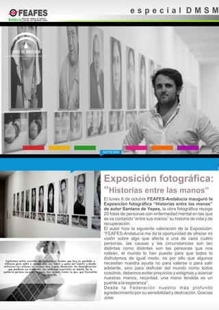 Boletín especial "Día Mundial de la Salud Mental" 2012 de FEAFES-Andalucía