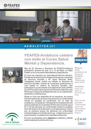 Boletín 01 de FEAFES-Andalucía