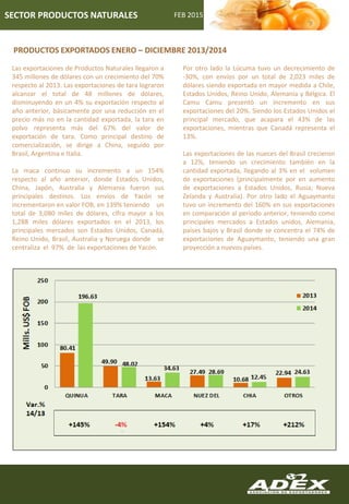 PRODUCTOS EXPORTADOS ENERO – DICIEMBRE 2013/2014
FEB 2015SECTOR PRODUCTOS NATURALES
Las exportaciones de Productos Naturales llegaron a
345 millones de dólares con un crecimiento del 70%
respecto al 2013. Las exportaciones de tara lograron
alcanzar el total de 48 millones de dólares,
disminuyendo en un 4% su exportación respecto al
año anterior, básicamente por una reducción en el
precio más no en la cantidad exportada, la tara en
polvo representa más del 67% del valor de
exportación de tara. Como principal destino de
comercialización, se dirige a China, seguido por
Brasil, Argentina e Italia.
La maca continuo su incremento a un 154%
respecto al año anterior, donde Estados Unidos,
China, Japón, Australia y Alemania fueron sus
principales destinos. Los envíos de Yacón se
incrementaron en valor FOB, en 139% teniendo un
total de 3,080 miles de dólares, cifra mayor a los
1,288 miles dólares exportados en el 2013, los
principales mercados son Estados Unidos, Canadá,
Reino Unido, Brasil, Australia y Noruega donde se
centraliza el 97% de las exportaciones de Yacón.
Por otro lado la Lúcuma tuvo un decrecimiento de
-30%, con envíos por un total de 2,023 miles de
dólares siendo exportada en mayor medida a Chile,
Estados Unidos, Reino Unido, Alemania y Bélgica. El
Camu Camu presentó un incremento en sus
exportaciones del 20%. Siendo los Estados Unidos el
principal mercado, que acapara el 43% de las
exportaciones, mientras que Canadá representa el
13%.
Las exportaciones de las nueces del Brasil crecieron
a 12%, teniendo un crecimiento también en la
cantidad exportada, llegando al 3% en el volumen
de exportaciones (principalmente por en aumento
de exportaciones a Estados Unidos, Rusia; Nueva
Zelanda y Australia). Por otro lado el Aguaymanto
tuvo un incremento del 160% en sus exportaciones
en comparación al periodo anterior, teniendo como
principales mercados a Estados unidos, Alemania,
países bajos y Brasil donde se concentra el 74% de
exportaciones de Aguaymanto, teniendo una gran
proyección a nuevos países.
 