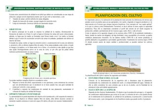 TIPO A
TIPO B
TIPO C
Es importante, previo a la realización de la plantación tener presente las diferencias de terreno que
puedan existir en predios para un uso apropiado a los suelos, eligiendo el negocio productivo o la
intervención en el terreno que otorgue mayores beneficios. Este concepto de “uso según aptitud”
es lo que se conoce como Ordenamiento Territorial, es decir utilizar la tierra según su capacidad
productiva. Para ello es importante considerar el perfil del terreno de tal modo asegurar la
protección, calidad y permanencia de los recursos agua, suelo, flora y vida silvestre.
Como se aprecia en la siguiente imagen en los sectores altos (TIPO A) de pendiente moderada a
fuerte, donde los suelos son delgados, de baja fertilidad y muy susceptibles a la erosión, se podría
establecer plantaciones forestales. En las laderas medias (TIPO B) o de menor pendiente es
posible dedicarlo a la ganadería o actividades agroforestales. Finalmente los sectores bajos (TIPO
C) donde existen suelos de mejor calidad y productividad, se pueden realizar los cultivos
agrícolas.
Perfil del paisaje típico y sus vocaciones productivas (García y Sotomayor)
La planificación del cultivo supone las siguientes actividades:
 ESTUDIO FÍSICO DEL LUGAR
Consiste en la determinación de la superficie útil a destinarse para la plantación,
considerando las condiciones de calidad del suelo y la disponibilidad del agua. Además de
ello se debe considerar los usos actuales que se da en el predio, con la finalidad de no
entorpecer otras actividades agropecuarias.
 ELECCIÓN DE LA ESPECIE
Depende de dos factores fundamentales: El objetivo que la producción persigue y, el segundo
las condiciones edafoclimáticas que existe en la zona. La omisión de uno u otro puede afectar
en el rendimiento de la plantación, la calidad de los productos, la protección y conservación
del recurso suelo, y por consiguiente en los beneficios totales que puede recibir el productor.
PLANIFICACION DEL CULTIVO
Página 11
ESTABLECIMIENTO, MANEJO Y MANTENCIÓN DEL CULTIVO DE PINO
Página 22
Existen otras características de calidad en un árbol que deben ser consideradas en una etapa de
selección, aunque son de importancia menor, por lo que solo se mencionan, y son:
 Tamaño de ramas: preferir árboles de ramas delgadas.
 Angulo de inserción de ramas: escoger ángulo de inserción recto.
 Largo de internudos: favorecer árboles de internudos largos.
PODAS
 OBJETIVOS
El objetivo principal de la poda es mejorar la calidad de la madera, disminuyendo la
formación de nudos en el fuste, lo cual se logra al eliminar las ramas del sector seleccionado;
además, se logra que los nudos ya formados sean firmes (nudo vivo). Los nudos se forman
debido a que el sector de crecimiento envuelve las ramas no podadas, quedando este defecto al
interior del fuste.
Cortando las ramas verdes se logra la oclusión (cierre y cicatrización) de la zona con defectos
y, posterior a ello se obtiene madera libre de nudos. Si las ramas podadas están verdes, el nudo
se integra a la madera y se le llama nudo vivo o firme, y la oclusión es más rápida ya que hay
más tejido fisiológicamente activo en la zona de corte; es por ello que las podas deben
realizarse preferentemente en ramas verdes.
Comparación de trozas con y sin poda oportuna.
Las podas también cumplen objetivos secundarios como:
 Mejorar la forma del árbol, especialmente si son oportunas, como minimizar las coronas
que son protuberancias que se producen en el fuste cuando hay una gran cantidad de
ramas por verticilo y muy gruesas.
 Contribuir a mejorar las condiciones de sanidad de una plantación, aumentando el
volumen de madera de calidad del bosque.
 OPORTUNIDAD E INTENSIDAD
La oportunidad de la poda dependerá del objetivo de la producción y del esquema de manejo a
aplicar. Si su objetivo es obtener madera libre de nudos, ellas deben iniciarse cercano al
momento cuando comienza el cierre de copas (4-6 años), ello por tres razones fundamentales:
UNIVERSIDAD NACIONAL SANTIAGO ANTÚNEZ DE MAYOLO-FCA-EAPA
 