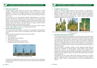  CORRECCIÓN FUSTAL
Consiste en seleccionar aquellos arboles de buen crecimiento, con bifurcaciones o
deformaciones en el fuste, producto de los daños causados por efectos del clima, animales o
plagas. En su operación, se elige la flecha o rama más vigorosa y recta para su mantención,
cortando las demás. Con ello se busca acelerar el proceso natural de competencia y
crecimiento de diversas flechas, seleccionando una, y obtener una buena forma de árboles,
buscando la formación de un fuste único o recto.
Secuencia de corrección fustal de Pinus radiata s los 34 meses (A) recién corregido, a los 42 (B) y
a los 52 meses (C).
 PROTECCIÓN FITOSANITARIA
La mejor defensa sanitaria para una plantación es la correcta selección de la especie para el
sitio de plantación, efectuando posteriormente las labores necesarias de mantención y manejo
a fin de lograr un crecimiento vigoroso y permanente de los árboles, evitando situaciones de
estrés, tanto hídrico, nutricional, como por luz y espacio. De esta forma se minimiza la
incidencia de enfermedades o plagas y se logra una mejor recuperación en caso de producirse
daños. Por la complejidad técnica del tema, que excede los alcances de este documento, es
importante que el productor forestal se apoye en una adecuada asesoría profesional para su
situación en particular.
Para insectos dañinos, es importante considerar el manejo integrado de plagas (MIP), que
considera una combinación de distintas prácticas: control biológico, control mecánico,
intervenciones silvícolas y uso de agroquímicos, incluyendo una preocupación por la
mantención de la diversidad ambiental (especies acompañantes, vegetación natural en zonas
aledañas, mosaicos de edades y/o especies). No obstante, cada situación requiere de análisis y
acciones particulares.
Para plantaciones de Pinus radiata, polilla del brote (Rhyacionia buoliana) es, en términos
generales, la plaga que requiere de mayor atención en la actualidad; no obstante, también se
debe estar vigilante respecto a la plaga potencial Sirex noctilio (avispa taladradora de la
madera).
Página 19
ESTABLECIMIENTO, MANEJO Y MANTENCIÓN DEL CULTIVO DE PINO
Página 14
 DISTANCIAMIENTO
Un árbol requiere de cierto volumen de suelo para crecer óptimamente, así en suelos
profundos, el distanciamiento entre plantas puede ser menor y por el contrario, en suelos
superficiales, es mayor con la finalidad de disminuir el efecto competitivo por agua y
nutrientes. En este sentido, conviene determinar la distancia que deberá guardarse entre un
árbol y el otro.
En este aspecto, no hay reglas absolutas, depende fundamentalmente de los factores
ecológicos, del objetivo de la plantación (que rige su manejo) y de las exigencias de la
especie. En suelos de secano, donde las copas de los árboles frondosos pueden cubrir el dosel
más alto, conviene espaciarlos, con la finalidad de permitir el paso de los rayos solares hasta la
superficie, donde crecen hierbas y por tanto, disminuye el riesgo de erosión del suelo,
posibilitando el manejo y aprovechamiento de las pasturas.
Cuando se desean diámetros mayores, el distanciamiento es mayor, pero, cuando se requiere
de árboles rectos, delgados en ciclos cortos, el distanciamiento es menor.
 SELECCIÓN DE PLANTAS
Es uno de los aspectos más importantes a considerar una vez preparado el sitio de plantación,
es la condición de la planta a utilizar, lo que garantiza en gran medida la calidad del futuro
bosque.
Entre las características deseables que deben tener la planta se destaca:
 Aspecto sano y firme.
 Color verde oscuro.
 Raíces abundantes y bien distribuidas.
 Altura entre 25 a 35 cm.
 Las ramas deben distribuirse a lo largo del tallo.
 El diámetro del cuello como mínimo de 5 a 8 mm.
Grados de calidad de plantas de pino
Es necesario que la planta tenga suficientes raíces finas, que son las que crecen más rápido y
absorben mejor los nutrientes. Del mismo modo las raíces no deben presentar enrollamientos
ni deformaciones.
UNIVERSIDAD NACIONAL SANTIAGO ANTÚNEZ DE MAYOLO-FCA-EAPA
 