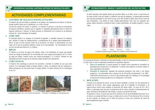 Se debe desechar toda aquella planta que presente daños en el tallo, raíces o inserciones de
las hojas al tallo, bien por hongos o cualquier otro tipo de patógeno. La planta debe presentar
una sola guía principal no muy tierna ya que sería más sensible a daños tanto físicos como de
tipo fitosanitario. Una planta de mala calidad generalmente tiene una raíz pequeña, dos
puntas, daños mecánicos, perdida de hoja y hojas amarillentas, de tamaño pequeño y escaso
vigor.
Calidad de plantas que no deben ser usadas en una plantación.
Es la acción de forestar o reforestar un área determinada, es decir la colocación de las plántulas en
el suelo. Para lo cual es importante considerar los siguientes aspectos:
 Época de plantación: la época propicia es cuando existe expectativas razonables de
precipitaciones posteriores a la plantación. La época más propicia en nuestro medio es
entre septiembre a diciembre.
 Densidad de plantación: depende del potencial productivo del suelo y del objeto
productivo. Las densidades más comunes son de 450 pl/Ha (silvipastoral) y de 1000 -
1600 pl/Ha (forestal puro) en sitios de alta productividad. Sin embargo en la actualidad
la mayoría de sistemas productivos no sobrepasan 1 250 pl/Ha.
 HOYACIÓN
Consiste en la apertura de hoyos, ya sea de forma cuadrada o circular. En esta operación el
tamaño de los hoyos, tiene mucha importancia, pues de él depende el crecimiento y la
supervivencia inicial como también el desarrollo del futuro árbol. Un hoyo de 40 x 40 x
40cm. es adecuado, pues favorece la penetración de las raíces, permite el almacenamiento de
agua, mantiene la humedad por más tiempo y mejora la aireación del suelo.
Al aperturar el hoyo, la tierra que sale de los primeros 20 cm de profundidad (horizonte A) se
lo ubica a un costado del hoyo y la que se obtiene de los otros 20 cm (horizonte B) se lo ubica
al otro costado, de manera que al final del proceso se tiene dos montones de tierra de
aproximadamente igual volumen.
Página 15
ESTABLECIMIENTO, MANEJO Y MANTENCIÓN DEL CULTIVO DE PINO
Página 18
 CONTROL DE MALEZAS POSTPLANTACIÓN
El objetivo de esta actividad es mantener a las plantas sin competencia de maleza el máximo
tiempo posible, hasta que se establezcan y se cierre el dosel.
Existen dos formas de control: el químico y el manual. El primero es útil para la eliminación
de especies herbáceas, mientras que el segundo es empleado generalmente para el control de
especies arbustivas o leñosas. Se debe procurar la eliminación de la maleza en un diámetro
mínimo de 1 metro alrededor de la planta.
 CERCADO
El principal objetivo es asegurar la exclusión de ganado, o animales mayores de cualquier
tipo, durante la etapa de establecimiento y prendimiento de la planta (aproximadamente 3
años), ya que en estos terrenos frutos de la exclusión, los pastos se desarrollaran con más
vigor, por lo que los animales tenderán a entrar en la zona plantada. Se recomienda el uso de
un cerco de púa tipo Motto de 3 a 4 hebras.
 RIEGO
El objetivo es proveer de agua a las plantas, frente a los problemas de sequía que puedan
existir en el lugar de plantación. Se recomienda uno o dos riegos de emergencia, de 4 a 5 litros
de agua por planta, cuando ocurra una sequía prolongada (7 a 8 meses). Además de una
adecuada provisión de agua en las primeras etapas después de la plantación.
 CORTAFUEGO
El objetivo del cortafuego es prevenir los incendios y facilitar el combate en caso que estos
ocurran. Los cortafuegos deben se franjas limpias y libres de cualquier tipo de vegetación y
deben permanecer de este modo todo el tiempo posible. El ancho mínimo de los cortafuegos
es de 3 m.
Calidad de plantas sin y con control de malezas – Cercado y cortafuego en una plantación.
UNIVERSIDAD NACIONAL SANTIAGO ANTÚNEZ DE MAYOLO-FCA-EAPA
ACTIVIDADES COMPLEMENTARIAS
PLANTACIÓN
 