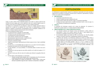 La fertilización en general permite mejorar las condiciones nutricionales del suelo poniendo a
disposición de las plantas los elementos necesarios para su desarrollo, especialmente en aquellos
terrenos con ciertos niveles de degradación.
 BENEFICIOS
 Se estimula el desarrollo de las raíces.
 Permite a la planta una mayor ocupación del suelo.
 Se aprovecha de manera más eficiente el agua y los nutrientes disponibles.
 Se logra una mayor supervivencia, un rápido crecimiento inicial y cierre de copas. Lo
cual disminuye la eliminación de competencia.
 ÉPOCA
La aplicación del fertilizante coincide con la época de plantación. En ocasiones la
fertilización se puede realizar 2 a 3 semanas después de haber plantado.
 PROCEDIMIENTO Y RECOMENDACIONES
 Los elementos químicos que formaran la base del fertilizante a utilizar, deben ser
determinados a través de un análisis químico del suelo, y serán aquellas que se
encuentren en cantidades restrictivas para la especie a plantar.
 Se recomienda emplear una mezcla de NPK, con una dosis de 120-180 gr/planta.
Además es necesario incluir Boro, inmediatamente después de la plantación.
 La manera más frecuente es la fertilización manual que consiste en realizar hoyos o
bandas cercanas a las raíces. En caso de efectuarse los hoyos, se realiza en uno o varios
puntos de aplicación a una distancia de la planta que fluctúa entre 12 a 15 cm, también
se puede aplicar en dos bandas paralelas entre 12 y 15 cm, o también en círculo
alrededor de la planta, a 15 o 20 cm. La profundidad de aplicación es de 10 cm para
plantas producidas en raíz desnuda, y de 5 a 6 cm para plantas producidas a raíz
cubierta.
Fertilización en círculo y en varios puntos alrededor de la planta.
FERTILIZACIÓN
Página 17
ESTABLECIMIENTO, MANEJO Y MANTENCIÓN DEL CULTIVO DE PINO
Página 16
Procedimiento de hoyación.
Luego, se vuelve a llenar el hoyo rellenando primero con el suelo A y luego el suelo B. Esta
inversión de tierras asegura que la tierra superficial, más rica en materia orgánica quede en
contacto con las raíces de los plantones desde el inicio de su etapa de desarrollo.
Los trabajos de la instalación de una plantación, requiere de cuidados especiales desde el
momento de la salida de los plantones del vivero hasta su establecimiento en terreno
definitivo, tomando las precauciones correspondientes para un manipuleo cuidadoso de las
plantas y el mínimo tiempo de exposición para evitar la insolación.
El proceso de plantación también incluye:
 La remoción del hoyo construido con anterioridad.
 La Poda de las raíces enrolladas en la base de la bolsa.
 La eliminación de la bolsa de polietileno.
 Cortes laterales verticales de las raíces enrolladas.
 Desmenuzamiento ligero del sustrato o cepellón de tierra.
 Realización de un pequeño hoyo en el centro.
 Colocación vertical de la planta.
 Tapado con tierra lateral y apelmazado para eliminar espacios de aire y fijar la estabilidad
de la planta.
 En sitios secos, es recomendable dejar un espacio de 3 a 5 cm entre el nivel de la planta y
la superficie del terreno con el fin de interceptar agua de lluvia.
 En sitios húmedos y con poca pendiente, se recomienda plantar al mismo nivel de la
superficie.
 El llenado de la tierra que tapa las raíces debe coincidir con el cuello de la planta a 2 ó 3
cm de éste.
 Apisonar la tierra que cubre las raíces de la planta para eliminar las pequeñas bolsas de
aire.
 En sitios áridos, de alta temperatura, es conveniente:
o Eliminar las hojas basales dejando sólo 4 ó 5terminales con el fin de disminuir
su desecación hasta que las raíces puedan captar agua del suelo.
o Cubrir alrededor de la planta con piedrecillas o “mulch” (hojas o tallos) para
disminuir la pérdida de agua del suelo y mantener la temperatura y humedad.
UNIVERSIDAD NACIONAL SANTIAGO ANTÚNEZ DE MAYOLO-FCA-EAPA
 