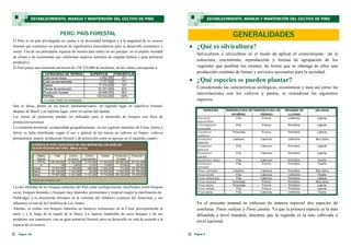  ¿Qué es silvicultura?
Selvicultura o silvicultura es el modo de aplicar el conocimiento de la
estructura, crecimiento, reproducción y formas de agrupación de los
vegetales que pueblan los montes, de forma que se obtenga de ellos una
producción continúa de bienes y servicios necesarios para la sociedad.
 ¿Qué especies se pueden plantar?
Considerando las características ecológicas, económicas y usos así como las
interrelaciones con los cultivos y pastos, se consideran las siguientes
especies:
En el presente manual se enfocara de manera especial dos especies de
coníferas: Pinus radiata y Pinus patula. Ya que la primera especie es la más
difundida a nivel mundial, mientras que la segunda es la más cultivada a
nivel nacional.
GENERALIDADES
Página 5
ESTABLECIMIENTO, MANEJO Y MANTENCIÓN DEL CULTIVO DE PINO
Página 28
El Perú es un país privilegiado en cuanto a su diversidad biológica y a la magnitud de su recurso
forestal que constituye un potencial de significativa trascendencia para su desarrollo económico y
social. Una de sus principales riquezas de nuestro país radica en sus paisajes, en su amplia variedad
de climas y de ecosistemas que conforman espacios naturales de singular belleza y gran potencial
productivo.
El Perú posee una extensión territorial de 128’522,000 de hectáreas, de las cuales corresponde a:
Que lo ubica, dentro de los países latinoamericanos, en segundo lugar en superficie forestal,
después de Brasil y en séptimo lugar, entre los países del mundo.
Las tierras de protección pueden ser utilizadas para el desarrollo de bosques con fines de
promoción turísticas.
La extensión territorial, comprendida geográficamente, en sus regiones naturales de Costa, Sierra y
Selva, se halla distribuida, según el uso y aptitud de las tierras en cultivos en limpio, cultivos
permanentes, pastos, producción forestal y de protección como se aprecia en el siguiente cuadro:
La casi totalidad de los bosques naturales del Perú están ecológicamente clasificados como bosques
secos, bosques húmedos y bosques muy húmedos, premontano y tropical (según la clasificación de
Holdridge) y se encuentran ubicados en la vertiente del Atlántico (cuencas del Amazonas y sus
afluentes) al este de la Cordillera de Los Andes.
Además, se cuenta con bosques naturales en menores extensiones en la Costa, principalmente al
norte y a lo largo de la región de la Sierra. La riqueza maderable de estos bosques y de sus
productos son cuantiosos, con un gran potencial forestal, pero su desarrollo no está de acuerdo a la
riqueza de su recurso.
PERÚ: PAÍS FORESTAL
ESTABLECIMIENTO, MANEJO Y MANTENCIÓN DEL CULTIVO DE PINO
 