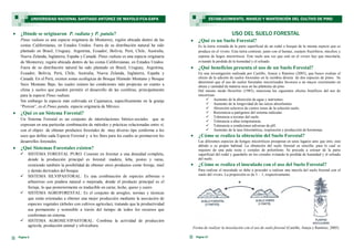 USO DEL SUELO FORESTAL
 ¿Qué es un Suelo Forestal?
Es la tierra extraída de la parte superficial de un rodal o bosque de la misma especie que se
produce en el vivero. Esta tierra contiene, junto con el humus, cuerpos fructíferos, micelios y
esporas de hogos micorríticos. Este suelo una vez que esté en el vivero hay que mezclarla,
evitando la perdida de la humedad y el soleado.
 ¿Qué beneficios presenta el uso de un Suelo Forestal?
En una investigación realizada por Castillo, Anaya y Ramírez (2005), que busco evaluar el
efecto de la adición de suelos forestales en la siembra directa de dos especies de pinos. Se
determinó que el uso de suelos forestales micorrizados favorece a un mayor crecimiento en
altura y cantidad de materia seca en las plántulas de pino.
Del mismo modo Howelwr (1985), menciona los siguientes efectos benéficos del uso de
micorrizas:
 Aumento de la absorción de agua y nutrientes.
 Aumento de la longevidad de las raíces absorbentes.
 Absorción selectiva de ciertos iones de la solución suelo.
 Resistencia a patógenos del sistema radicular.
 Tolerancia a toxinas del suelo.
 Tolerancia a altas temperaturas.
 Tolerancia a condiciones adversas de pH.
 Aumento de la tasa fotosintética, respiración y producción de hormonas.
 ¿Cómo se realiza la obtención del Suelo Forestal?
Las diferentes especies de hongos micorríticos prosperan en unos lugares ams que otro, esto
debido a su propio habitad. La obtención del suelo forestal es sencilla; para lo cual se
requiere de una pala recta y costales de polietileno. Se procede a extraer de la parte
superficial del rodal y guardarlo en los costales evitando la perdida de humedad y el soleado
del suelo.
 ¿Cómo se realiza el inoculado con el uso del Suelo Forestal?
Para realizar el inoculado se debe a proceder a realizar una mezcla del suelo forestal con el
suelo del vivero. La proporción es de 3 - 1, respectivamente.
Forma de realizar la inoculación con el uso de suelo forestal (Castillo, Anaya y Ramírez; 2005)
Página 27
ESTABLECIMIENTO, MANEJO Y MANTENCIÓN DEL CULTIVO DE PINO
Página 6
 ¿Dónde se originaron P. radiata y P. patula?
Pinus radiata es una especie originaria de Monterrey, región ubicada dentro de las
costas Californianas, en Estados Unidos. Fuera de su distribución natural ha sido
plantado en Brasil, Uruguay, Argentina, Ecuador, Bolivia, Perú, Chile, Australia,
Nueva Zelanda, Inglaterra, España y Canadá. Pinus radiata es una especie originaria
de Monterrey, región ubicada dentro de las costas Californianas, en Estados Unidos.
Fuera de su distribución natural ha sido plantado en Brasil, Uruguay, Argentina,
Ecuador, Bolivia, Perú, Chile, Australia, Nueva Zelanda, Inglaterra, España y
Canadá. En el Perú, existen zonas ecológicas de Bosque Húmedo Montano y Bosque
Seco Montano Bajo, las cuales reúnen las condiciones más propicias en cuanto a
clima y suelos que pueden permitir el desarrollo de las coníferas, principalmente
para la especie Pinus radiata.
Sin embargo la especie más cultivada en Cajamarca, específicamente en la granja
“Porcon”, es el Pinus patula, especie originaria de México.
 ¿Qué es un Sistema Forestal?
Un Sistema Forestal es un conjunto de interrelaciones biótico-sociales que se
expresan en una particular combinación de métodos y prácticas relacionadas entre sí,
con el objeto de obtener productos forestales de muy diverso tipo conforme a los
usos que define cada Especie Forestal y a los fines para los cuales se promueven los
desarrollos forestales.
 ¿Qué Sistemas Forestales existen?
 SISTEMA FORESTAL PURO: Consiste en forestar a una densidad completa,
donde la producción principal es forestal: madera, leña, postes y varas,
existiendo también la posibilidad de obtener otros productos como forraje, miel
y demás derivados del bosque.
 SISTEMA SILVIPASTORAL: Es una combinación de especies arbóreas o
arbustivas con pradera natural o mejorada, donde el producto principal es el
forraje, lo que posteriormente es traducible en carne, leche, queso y cuero.
 SISTEMA AGROFORESTAL: Es el conjunto de arreglos, normas y técnicas
que están orientadas a obtener una mejor producción mediante la asociación de
especies vegetales (árboles con cultivos agrícolas), tratando que la productividad
sea permanente y sostenible a través del tiempo de todos los recursos que
conforman un sistema.
 SISTEMA AGROSILVIPASTORAL: Combina la actividad de producción
agrícola, producción animal y silvicultura.
UNIVERSIDAD NACIONAL SANTIAGO ANTÚNEZ DE MAYOLO-FCA-EAPA
 