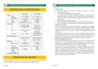  OBJETIVOS
 Concentrar (aumentar) el crecimiento o producción de madera en los árboles
seleccionados o remanentes.
 Evitar la pérdida de dominancia de los árboles podados.
 En zonas de mayor pluviometría y humedad, se disminuye el ataque del hongo
defoliador Dothistroma septospora, que suele causar importantes disminuciones de
crecimiento, al mejorar la ventilación del rodal, especialmente cuando son asociados a
podas oportunas.
 Ayuda a disminuir la competencia por agua.
 Disminuye el peligro de incendios, por menor continuidad horizontal de combustible.
 Mejora la transitabilidad y la posibilidad de generar más talaje para ganadería extensiva.
 TIPOS DE RALEO
Los raleos, en general, pueden ser de desecho y productivos o comerciales. En forma simple,
un raleo a desecho corresponde a la corta de árboles jóvenes y delgados, donde no es posible
obtener una producción comercial, ya que se obtienen madera muy delgada y un bajo
volumen por hectárea, por lo que no es posible o recomendable comercializarlos
rentablemente.
El raleo siguiente, generalmente es comercial, cuando la producción obtenida puede ser
comercializada dado que la dimensión de los productos obtenidos son demandados por la
industria local; con frecuencia, en manejo bajo esquemas estructurales, incluso es posible
postergar su ejecución para lograr mayor volumen, mejorando los ingresos intermedios.
 OPORTUNIDAD DE RALEO
La oportunidad del primer raleo es muy importante, ya que si se poda una proporción de los
árboles y no se ralea simultáneamente, durante la temporada o en intervalos cortos,
especialmente en la primera poda y primer raleo, los árboles no podados crecerán más rápido
que los podados, pudiendo estos últimos perder su posición de dominancia.
La época del año en que se realiza un raleo depende principalmente de aspectos
operacionales y comerciales, aspectos biológicos de las especie y climáticos propios de cada
situación en particular. Biológicamente y de acuerdo a la dinámica de crecimiento de la
especies, es recomendable ralear en otoño-invierno, para concentrar el crecimiento de
primavera-verano en los árboles residuales; pero, en general, se efectúan desde primavera a
otoño, por los menores costos operacionales, así como por la posibilidad de transporte de los
productos hacia canchas de acopio o industrias.
Página 25
ESTABLECIMIENTO, MANEJO Y MANTENCIÓN DEL CULTIVO DE PINO
Página 8
Pinus patula Pinus radiata
CLIMA
Altitud 1 400 – 3 300 msnm 1 800 – 3 500 msnm
Temperatura 12 – 18 ºC 14 ºC
Precipitación 750 - 2 000 mm/año 400 – 1 600 mm/año
Luz Exigente Exigente
Heladas Muy resistente Resistente
Sequias Moderadamente resistente Tolerante
SUELOS
Tipo Profundos, húmedos,
fértiles, bien drenados.
Profundos y bien
drenados
pH Neutro o acido Ligeramente ácidos,
neutro y alcalinos
Textura Franco arenosa Franco
arcillosa
Arenoso
Franco arenoso
Franco arcilloso
Topografía Plana a ondulada Plana, ondulada y en
pendientes medias
SUSCEPTIBILIDAD
A la deficiencia de B y P.
Al fuego y los vientos
fuertes.
A suelos arcillosos muy
pesados. A heladas. Al
ataque de hongos.
SEMILLA
Tipo Ortodoxa Ortodoxa
Almacenamiento 6- 8 % de Humedad
3 – 6 ºC
8 % de Humedad
4 ºC
Tratamiento
pre-germinativo
Remojar durante 24 horas Remojar durante 24
horas
Semillas por Kg 40 000 22 000
Tiempo de
duración de
germinación
11 – 30 días 9 – 20 días
Adaptado de: elsemillero.net
Se puede distinguir tres etapas durante el cultivo de diversas especies de pino: EN VIVERO,
ESTABLECIMIENTO, MANEJO Y MANTENCIÓN POST ESTABLECIMIENTO.
UNIVERSIDAD NACIONAL SANTIAGO ANTÚNEZ DE MAYOLO-FCA-EAPA
DIFERENCIAS Y SEMEJANZAS
ETAPAS EN EL CULTIVO
 