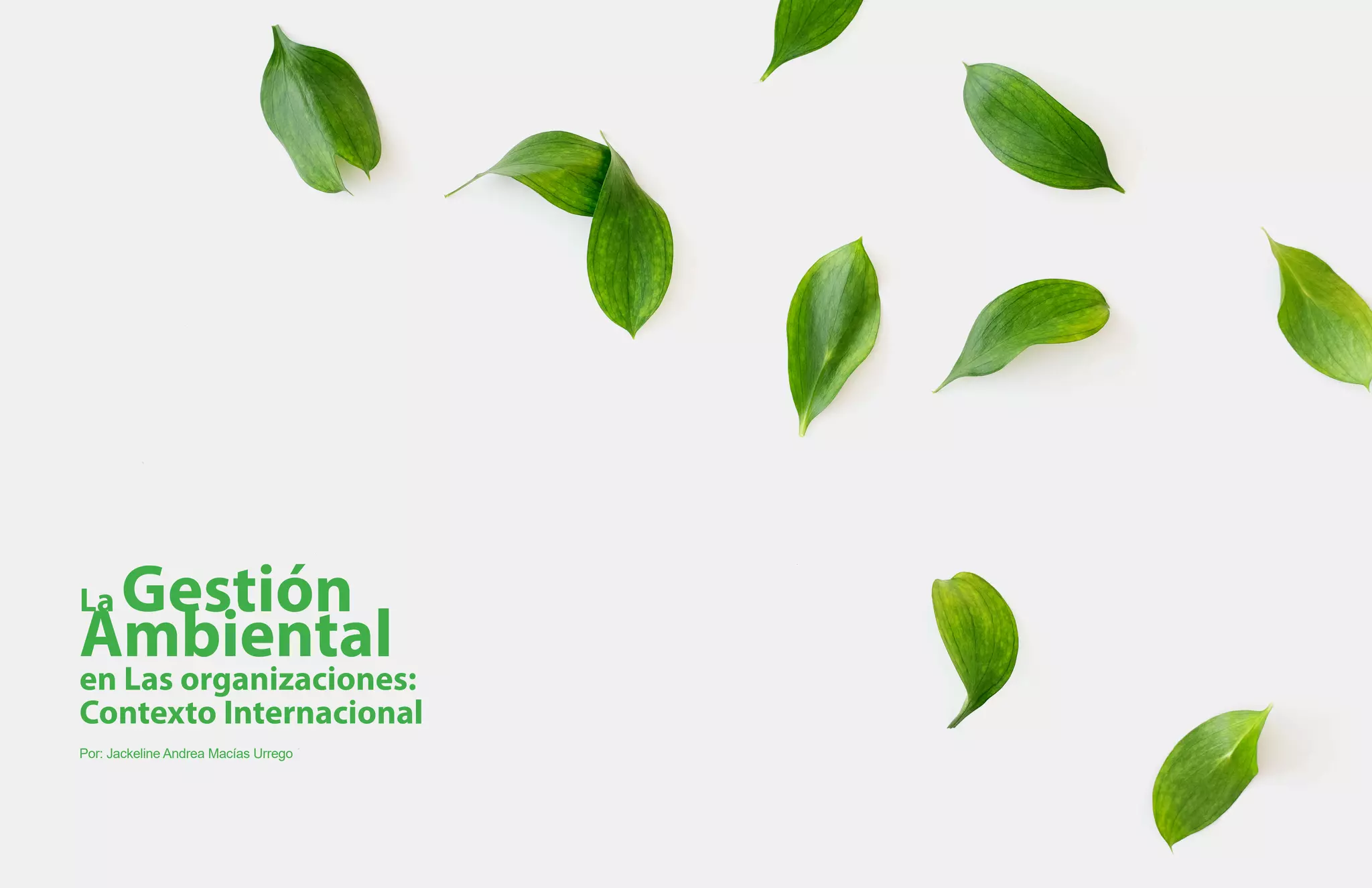 La Gestión
Ambiental
en Las organizaciones:
Contexto Internacional
Por: Jackeline Andrea Macías Urrego
 