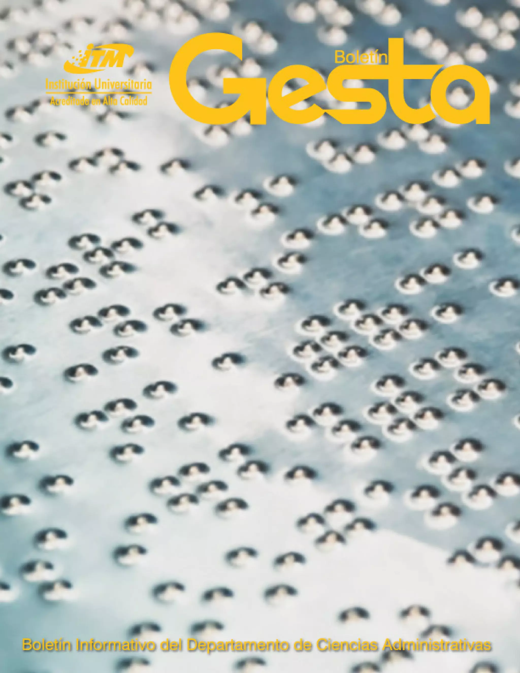 Boletín Gesta Edición 17