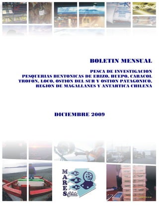 BOLETIN MENSUAL
                           PESCA DE INVESTIGACION
 PESQUERIAS BENTONICAS DE ERIZO, HUEPO, CARACOL
TROFON, LOCO, OSTION DEL SUR Y OSTION PATAGONICO,
     REGION DE MAGALLANES Y ANTARTICA CHILENA




             DICIEMBRE 2009
 