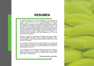 RESUMEN
La actividad bananera es de suma importancia en la economía del
Ecuador, la cual aporta con el 17.4 % al VAB Agropecuario. El cultivo de
banano ocupa el 11.8 % de la superficie plantada con cultivos
permanentes, encontrándose en diecinueve provincias del país, donde las
seis principales, por magnitud de producción concentran el 98.0 % (Los
Ríos 38.5 %) de las 6,684,916 toneladas a escala nacional; de ahí que, la
fruta para la exportación genera divisas por USD 3,272 millones, teniendo
a la Unión Europea como primer destino con una participación del 28.1 %,
seguido de Rusia con el 20.8 %, Estados Unidos 11.5 %, Turquía 6.1 %,
entre otros nichos comerciales. Este valor representa el 18.1 % de las
exportaciones no petroleras.
Asimismo, la cadena de las musáceas conformada por: banano, plátano,
orito, otros plátanos en fresco, banano y plátano deshidratado o seco,
harina de plátano y puré de banano, genera ventas al exterior por un total
de USD 3,561 millones.
En el contexto mundial, Ecuador es el quinto productor con un aporte del
5.0 % de la fruta; en tanto que, a nivel latinoamericano se ubica segundo
detrás de Brasil; sin embargo, es el primer exportador en el mundo, con
una participación del 24.6 %.
En otro aspecto, el precio internacional promedio de la caja de 40 libras de
banano cotizado en el mercado estadounidense (Los Ángeles)
experimentó una recuperación del 8.1 %, al pasar de USD 15.85 en el año
2020 a USD 17.13 para el 2021.
*Cifras actualizadas a mayo 2022.
 