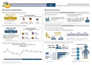 115,698
personas
ESTADO DEL CULTIVO DE BANANO EN EL ECUADOR 2021
CONTEXTO INTERNACIONAL CONTEXTO NACIONAL
Nivel de
Instrucción
formal
En 2021, en el proceso productivo del cultivo de banano participaron:
Precios Internacionales Mensuales de Banano 2020 - 2021
(USD/Caja 40lb.)
Fuente: TradeMap (2021)
Nota 1: Datos provisionales.
Nota 2: Todos los bananos excepto plátano.
Ecuador es el primer exportador de
banano a nivel mundial, con una
participación de 24.6 %.
Fuente: Banco Central del Ecuador (2021)
En 2021, se exportaron 6,625,032
toneladas por un valor de USD 3,272
millones. El banano participó con 18.1 %
en las Exportaciones No Petroleras.
Fuente: Banco Central de Ecuador (Valores a precios constantes
de 2007)
Nota 1: Cifras estimadas por el MAG a partir de la estructura del
Valor de la Producción (Tablas Oferta Utilización), 2020.
El banano contribuyó con 17.4 %
al Valor Agregado Bruto (VAB)
Agropecuario.
Fuente: TradeMap (2021)
Nota 1: Datos provisionales.
Nota 2: Todos los bananos excepto Plátano.
EN EL PIB ECUADOR
IMPORTANCIA ECONÓMICA
IMPORTANCIA SOCIAL
EXPORTACIONES MUNDIALES DE BANANO
PRECIOS INTERNACIONALES DE BANANO
IMPORTACIONES MUNDIALES DE BANANO
EN LAS EXPORTACIONES
NO PETROLERAS
EN EL EMPLEO AGROPECUARIO
0.4 % más que en 2020
millones
Fuente: INEC, ESPAC (2021)
CARACTERIZACIÓN DE LA PERSONA PRODUCTORA
Fuente: United States Department Of Agriculture - USDA.
Nota 1: Precio comercializado en terminal market – Los Ángeles.
Principales importadores
Participación de las importaciones en el mercado mundial 2021
Principales exportadores
Participación de las exportaciones en el mercado
mundial 2021
5 % más que en 2020
millones
Ministerio de Agricultura y Ganadería
Coordinación General de Información Nacional Agropecuaria
Importaciones mundiales
2021
Edad promedio
Exportaciones mundiales
2021
Fuente: INEC, ESPAC (2021)
Nota 1: Otra incluye indígena (2 %), afroecuatoriano (1 %)
y otro (2 %).
Autoidentificación étnica
Hombres
Hombres Mujeres
Mujeres
Hombres
Remunerados
permanentes
Remunerados
ocasionales
Persona productora
y/o familiares
80% 20%
88% 12%
7% 55%
38%
81%
7%
7%
5%
Mestizo (a)
Blanco (a)
Montubio (a)
Otra
58 años
4%
10%
19%
31%
36%
Posgrado
Ninguna
Secundaria
Superior
Primaria
15,279
USD
17% 7% 7%
Estados Unidos Alemania Rusia
13,790
USD
25%
Ecuador
13%
Costa Rica
8%
Filipinas
7%
Colombia
16.4
18.9
15.6
15.0
16.0
17.6 17.5
17.0 17.0
16.4
ene mar jun sep dic ene mar jun sep dic
2020 2021
2020 2021
Fuente: INEC, ESPAC (2021)
Nota: Los valores corresponden a una estimación con base en los trabajadores por
superficie según el tamaño promedio de los productores por rangos provenientes de la
ESPAC 2021, por lo tanto, no son valores oficiales sino referenciales.
 
